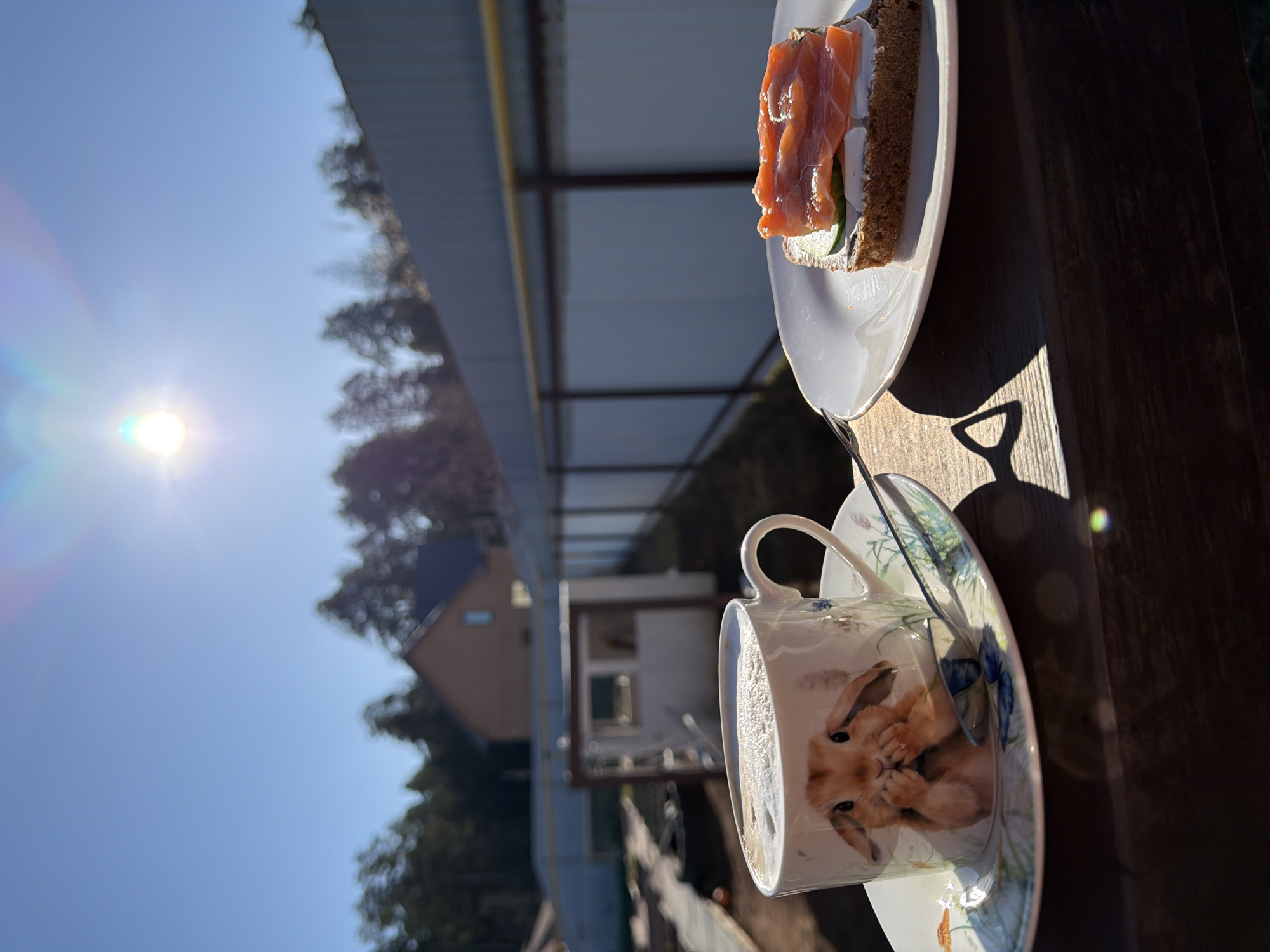The scene depicts a sunny outdoor setting, likely a balcony or patio. On a wooden surface, a teacup with a bunny design sits on a matching saucer, accompanied by a plate holding a sandwich consisting of rye bread, cream cheese, cucumber, and salmon. The background reveals trees, parts of a house, and a metal structure, possibly a roof or railing. The location is Chaikovsky, Russia. The strong sunlight casts prominent shadows, highlighting the objects and the environment.