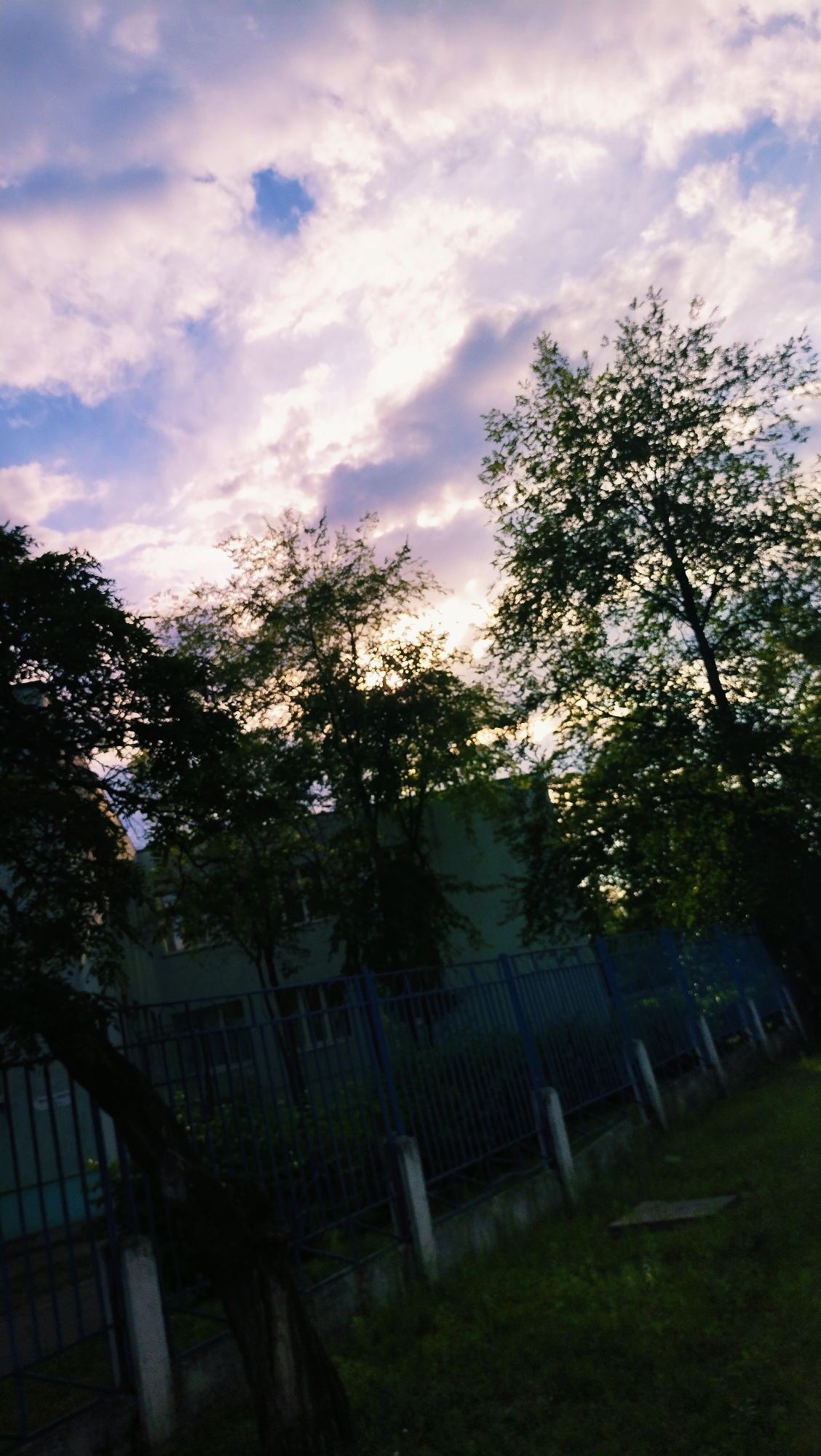 The image depicts a view looking up towards a cloudy sky, tinged with pink and purple hues, suggesting a sunset or sunrise. Silhouetted trees, with dense foliage, dominate the foreground and middle ground. Behind the trees, a light-colored building with windows is partially visible. A dark blue metal fence with vertical bars and concrete posts runs horizontally across the lower portion of the image, separating the foreground from the building and a grassy area. The scene appears to be outdoors, possibly in a park or residential area within Horishni Plavni, Ukraine. There are no people visible in the image.