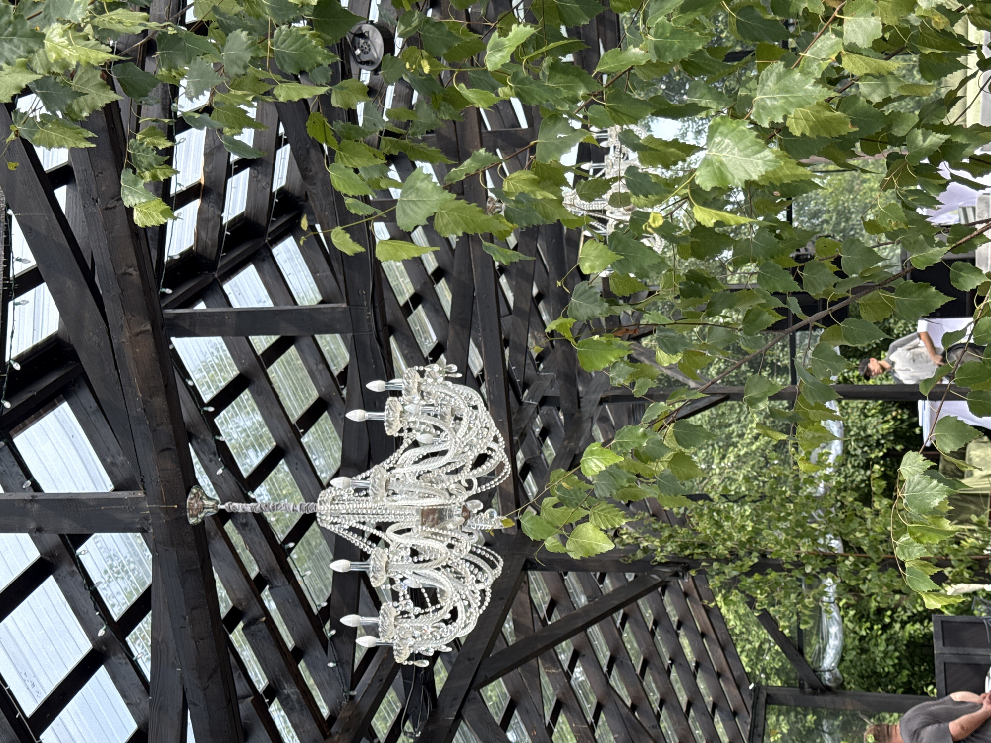 This image depicts an outdoor event space with a wooden and glass roof structure. A crystal chandelier hangs from the wooden beams, which are intermittently adorned with string lights. Lush green foliage from trees partially obscures the view of the structure and the surrounding environment. In the background, blurred figures of people can be seen, suggesting an ongoing event. The setting appears to be a garden or a similar open-air venue, possibly in the city of Svetloe, Russia, given the context provided.