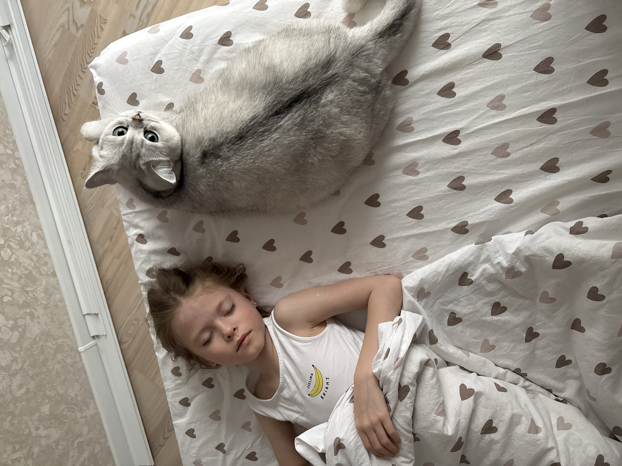 A high-angle shot depicts a child and a cat lying on a bed covered with heart-patterned sheets. The child, a young girl with light skin and reddish-brown hair, sleeps under a white duvet. She is wearing a white tank top with a banana design.
Above her, a grey cat lies upside down, its head near the top left corner of the frame, its tail pointing towards the upper right corner. The cat is looking directly at the camera with wide, inquisitive eyes.
The scene takes place indoors, near a wall with white trim and light-colored flooring. The exact location in Izhevsk, Russia, cannot be determined from the image alone.