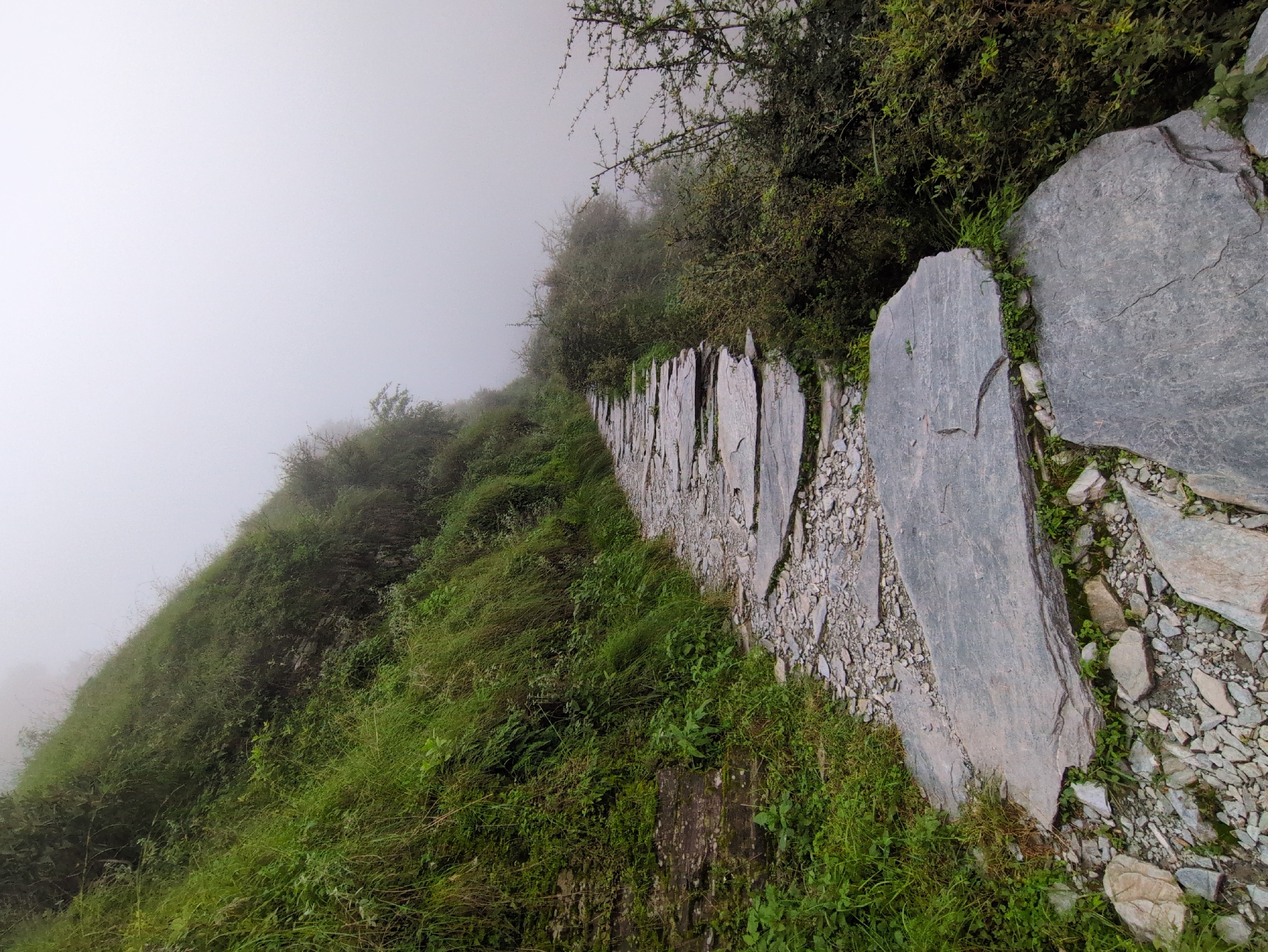 An upward-angled, eye-level shot captures a narrow, stone-paved path winding up a steep, grassy hillside. The path is constructed of uneven, flat stones of varying sizes, interspersed with smaller pebbles and patches of green grass. To the left, the hillside is densely covered in lush green grass and vegetation, with some darker rocks visible near the bottom of the frame. To the right, a thicket of green bushes and thorny branches lines the path, leading into a dense, white fog that obscures the background and the sky. The fog creates a soft, diffused light, lending a somewhat mystical atmosphere to the scene. The image appears to be taken on a cloudy or foggy day in a natural, mountainous environment, possibly in Bhagsu, India, a location known for its trekking paths and scenic beauty. There are no people or animals visible in the image. The focus is on the natural landscape and the man-made path.
