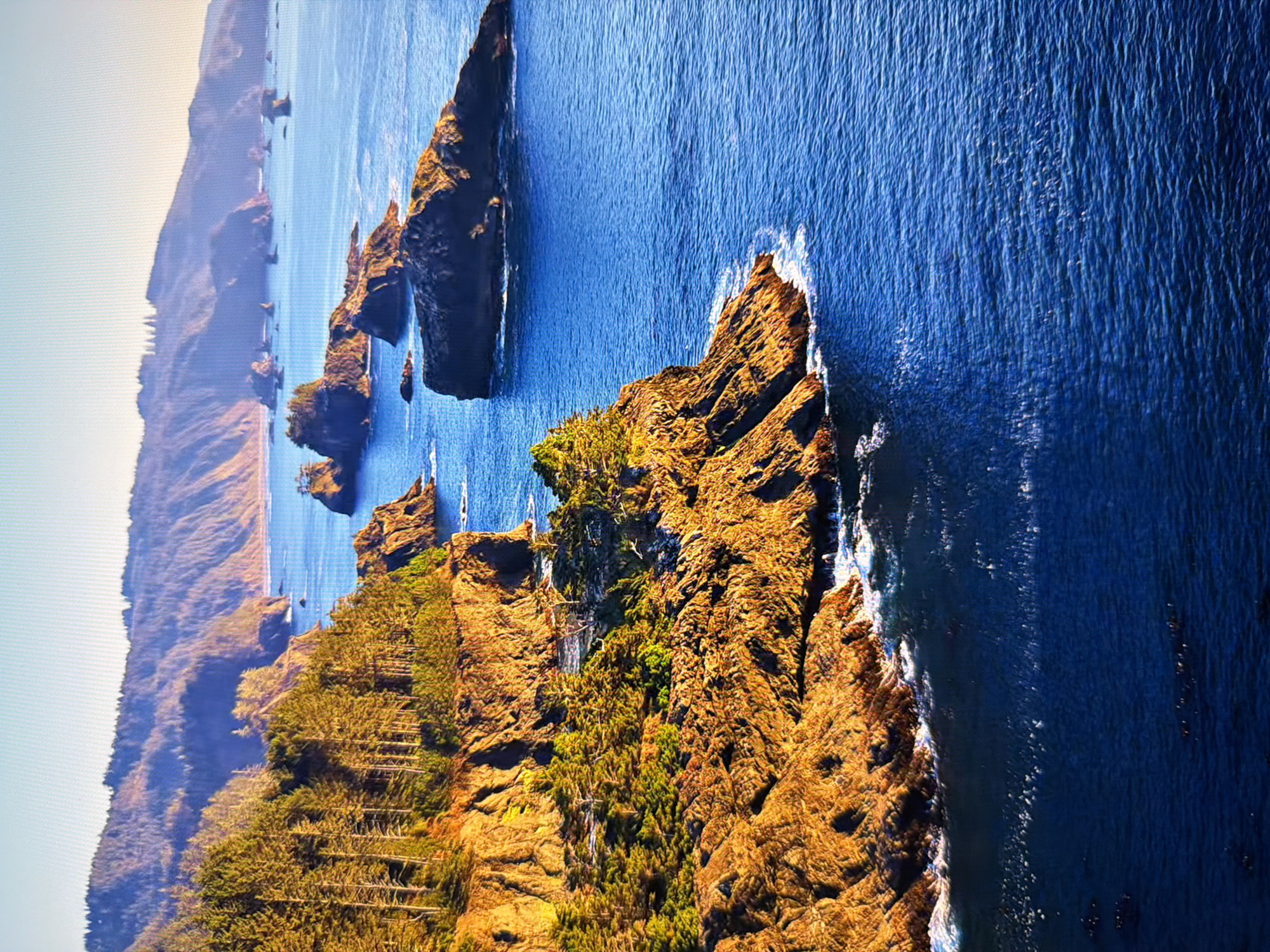 This is an aerial, vertical shot of a rugged coastline with forested cliffs and the bright blue ocean under a clear sky. The sun is low, casting a warm, golden light on the rocks and trees. Numerous sea stacks and rocky islets dot the water, with waves crashing against the shore. The background shows rolling, tree-covered hills that recede into the distance. The image does not depict the city of Kyiv, Ukraine, as it is a natural landscape.
