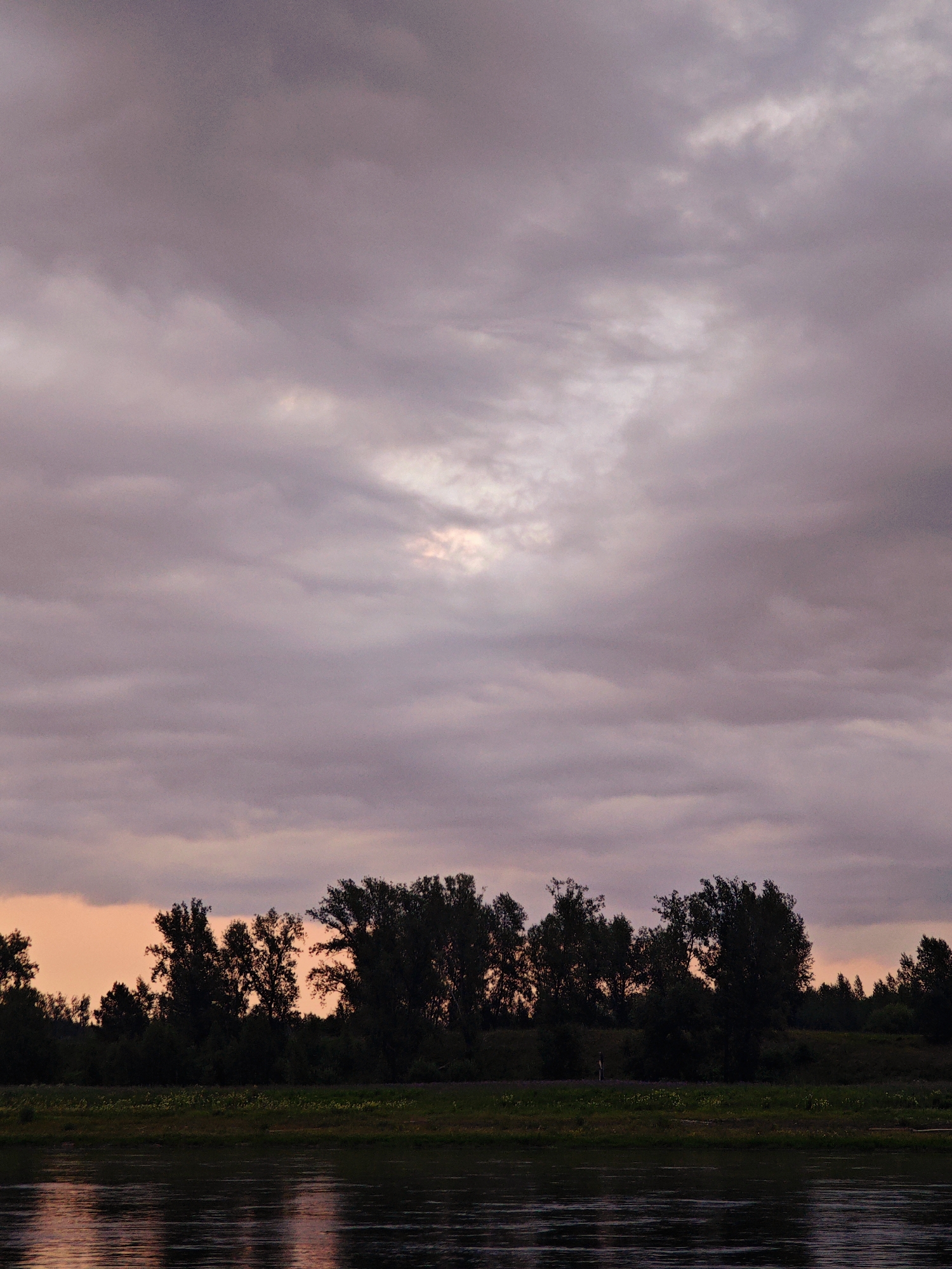 A wide river flows in the foreground of the image. The water is dark and reflects the sky and trees. A line of trees with dark green foliage forms a silhouette against the sky. The trees are dense and varied in height and shape. A strip of green grass is visible between the trees and the river. The sky is cloudy with shades of pink, purple, and gray. The clouds are heavy and obscure the sun, but there is a brighter patch in the center of the sky, suggesting a break in the clouds or a sliver of light. The overall impression is of a tranquil and slightly moody landscape.