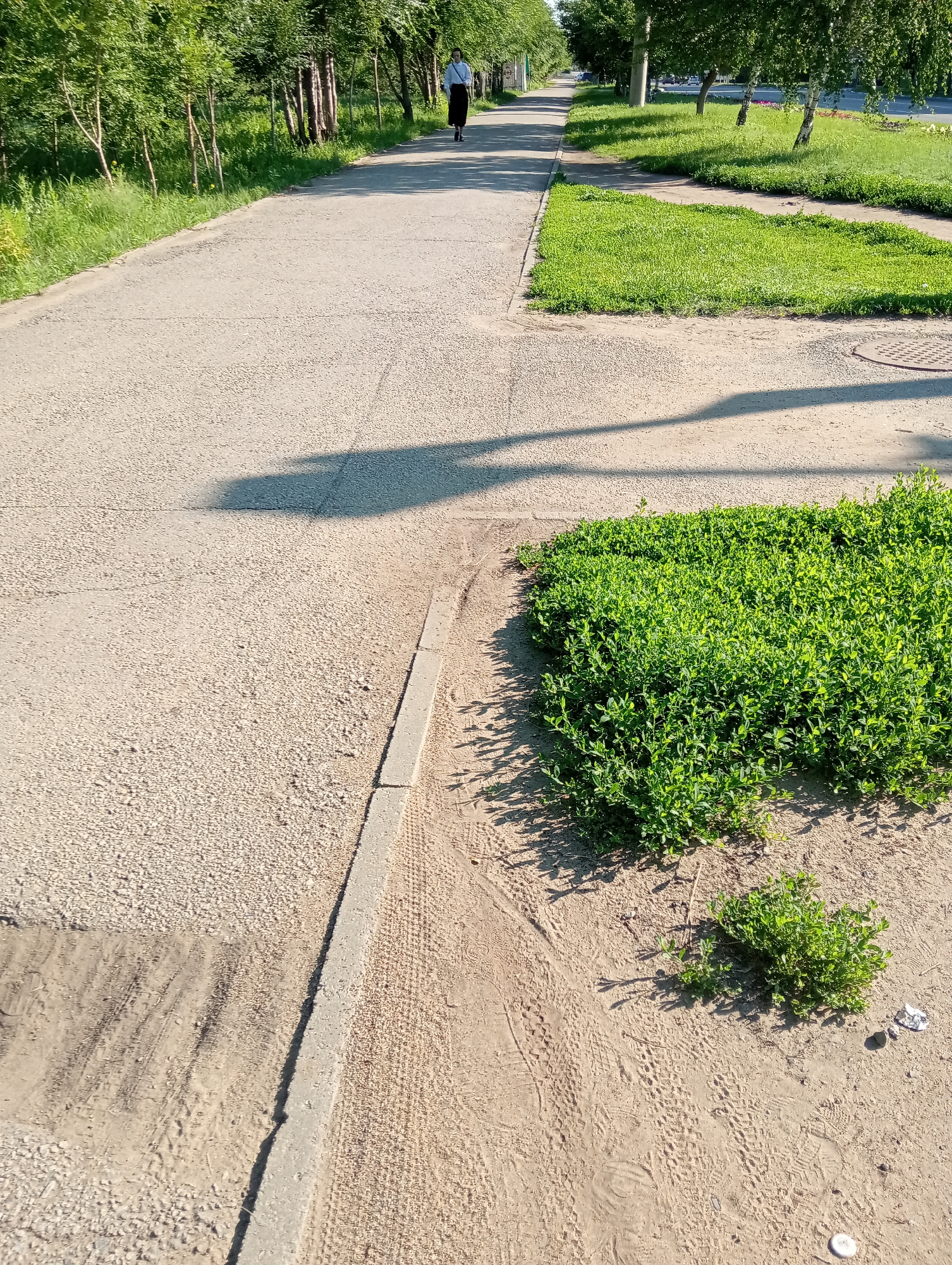 In this outdoor, daylight image, a lone individual is walking away from the viewer on a paved path in an urban park-like setting. The person is wearing a white shirt and a dark skirt. The path is lined with trees and grass on both sides. In the foreground, the path is adjacent to a sandy area with tire tracks and a concrete curb. The sunlight casts long shadows from the trees onto the path and the sandy area. A patch of bright green bushes is visible to the right of the curb. The background shows more trees, grass, and a street with vehicles in the distance.