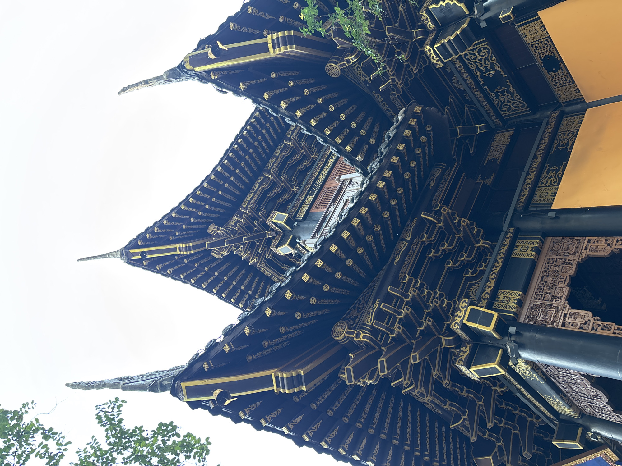 The image shows an upward-angle view of the ornate, dark-wood roof of a traditional Chinese building, likely a temple or pavilion. The roof features multiple layers of dark eaves, intricately decorated with gold patterns and motifs. Several prominent finials, also dark with gold accents, rise from the roof peaks. Green foliage from nearby trees is visible in the upper left and right corners of the frame, contrasting with the white sky. The building's architectural style suggests it is located in a region with rich cultural heritage, possibly within Yuzhong District, China, known for its historical sites and traditional structures. No people or actions are depicted in the scene.
