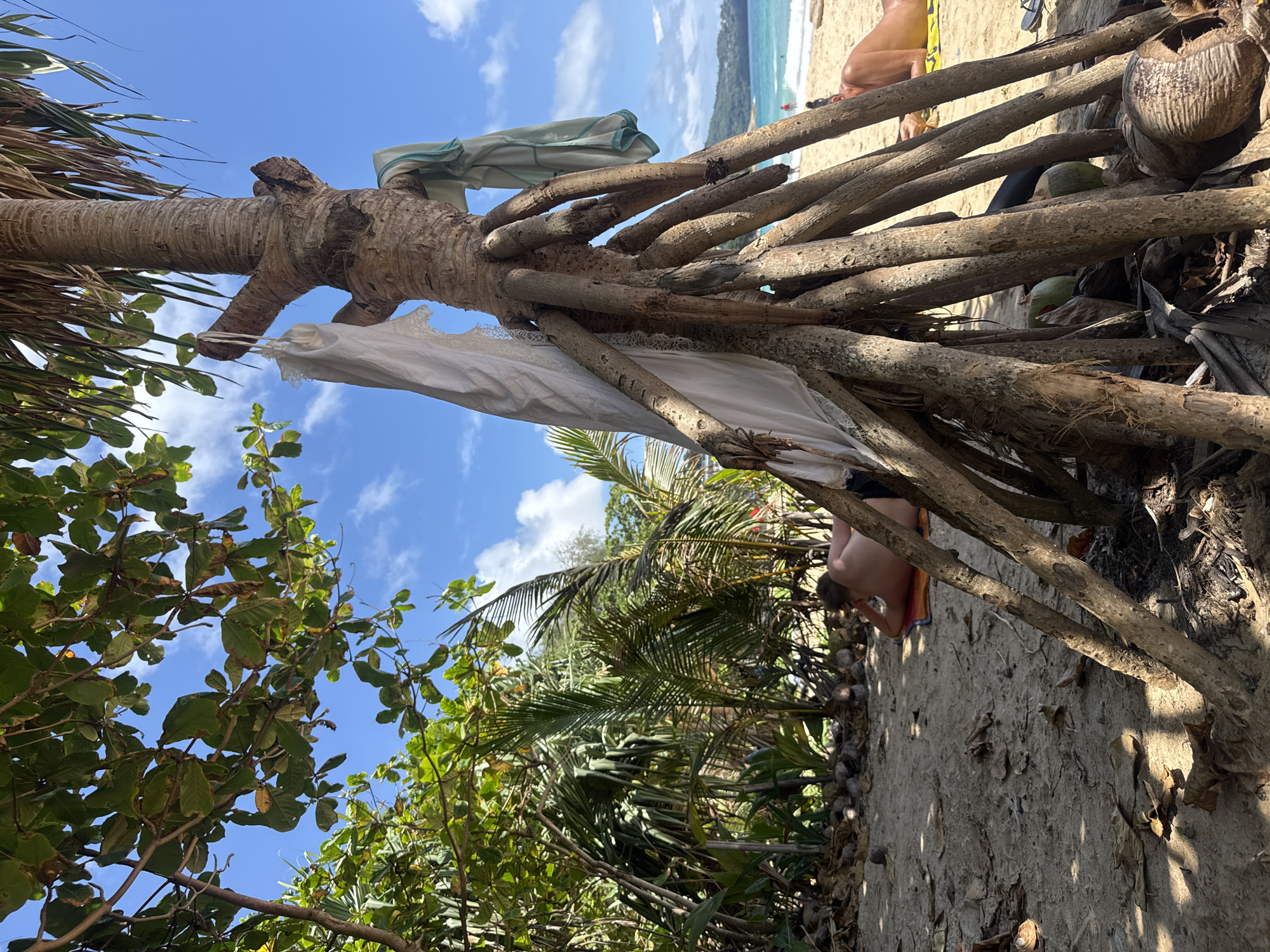 The image depicts a tropical beach scene, likely in Choeng Thale, Thailand. In the foreground, a cluster of exposed roots of a palm-like tree dominates the frame. Two pieces of clothing, a white lacy garment and a teal fabric, are draped over a branch of this tree. The ground is sandy, covered with dried leaves and some coconuts. A person, seen from behind, lies on a colorful towel on the sand in the midground, facing away from the camera and towards the ocean. In the background, the turquoise ocean meets a sandy beach dotted with a few people. The sky is blue with scattered white clouds, and lush green foliage frames the scene from the left. The overall impression is one of a relaxed, sun-drenched day at the beach.
