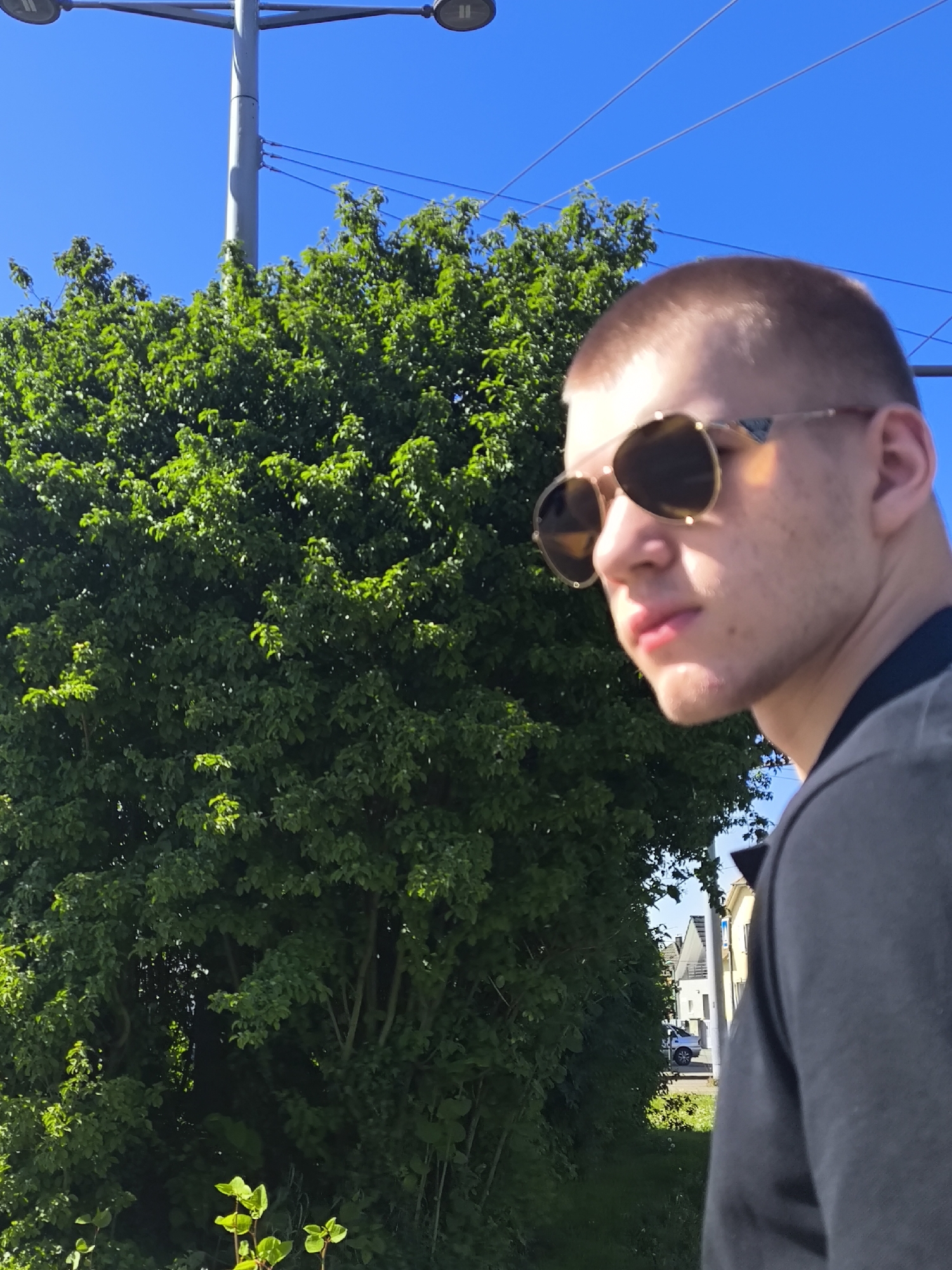 A medium shot captures a person with a fair complexion and close-cropped light hair, wearing sunglasses with gold frames and brown lenses, positioned on the right side of the frame. The individual is wearing a dark-colored shirt. Their gaze is directed slightly towards the left, over their shoulder.
A dense, green bush occupies a significant portion of the left side of the frame. In the background, partially obscured by the foliage, are houses, a street, and a parked car. Above the bush, a gray metal street light post with two round lights extends upwards against a clear blue sky.
The location appears to be Hoenheim, France, evidenced by the architectural style of the buildings in the background. The picture seems to have been taken during daylight hours. The image composition suggests an outdoor setting, possibly a street or sidewalk.