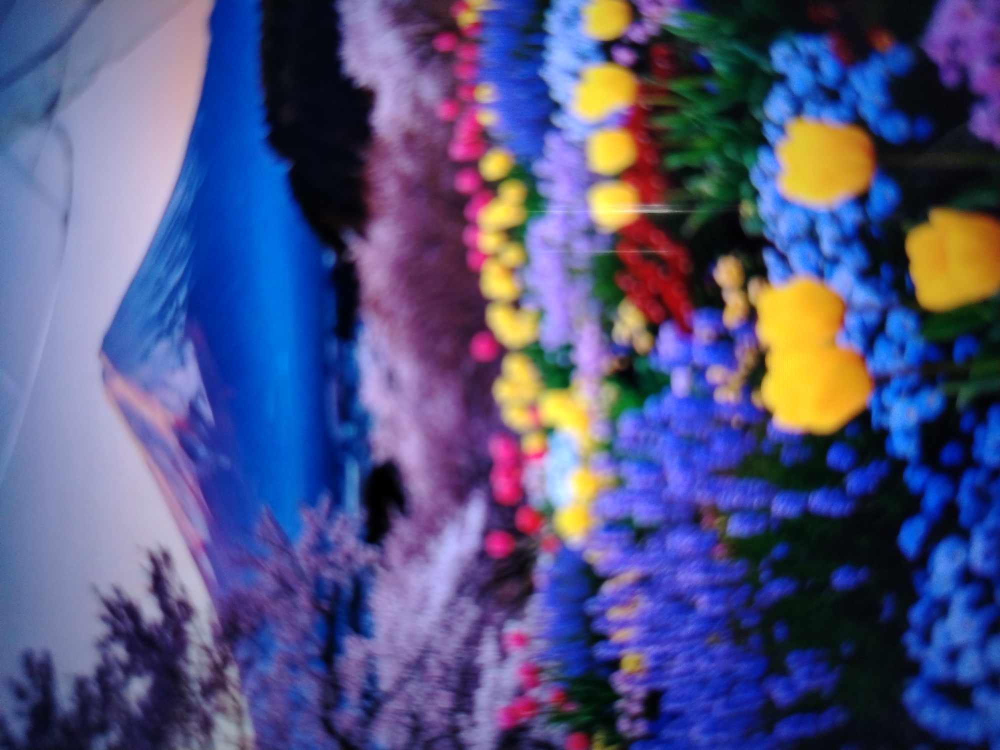 The image depicts a blurred, abstract floral arrangement with prominent purple, blue, and yellow hues. There is no discernible cityscape or recognizable landmark within the image to associate it with Qorowul, Uzbekistan. The composition is dominated by out-of-focus shapes resembling flowers and foliage, creating a soft, impressionistic effect.
