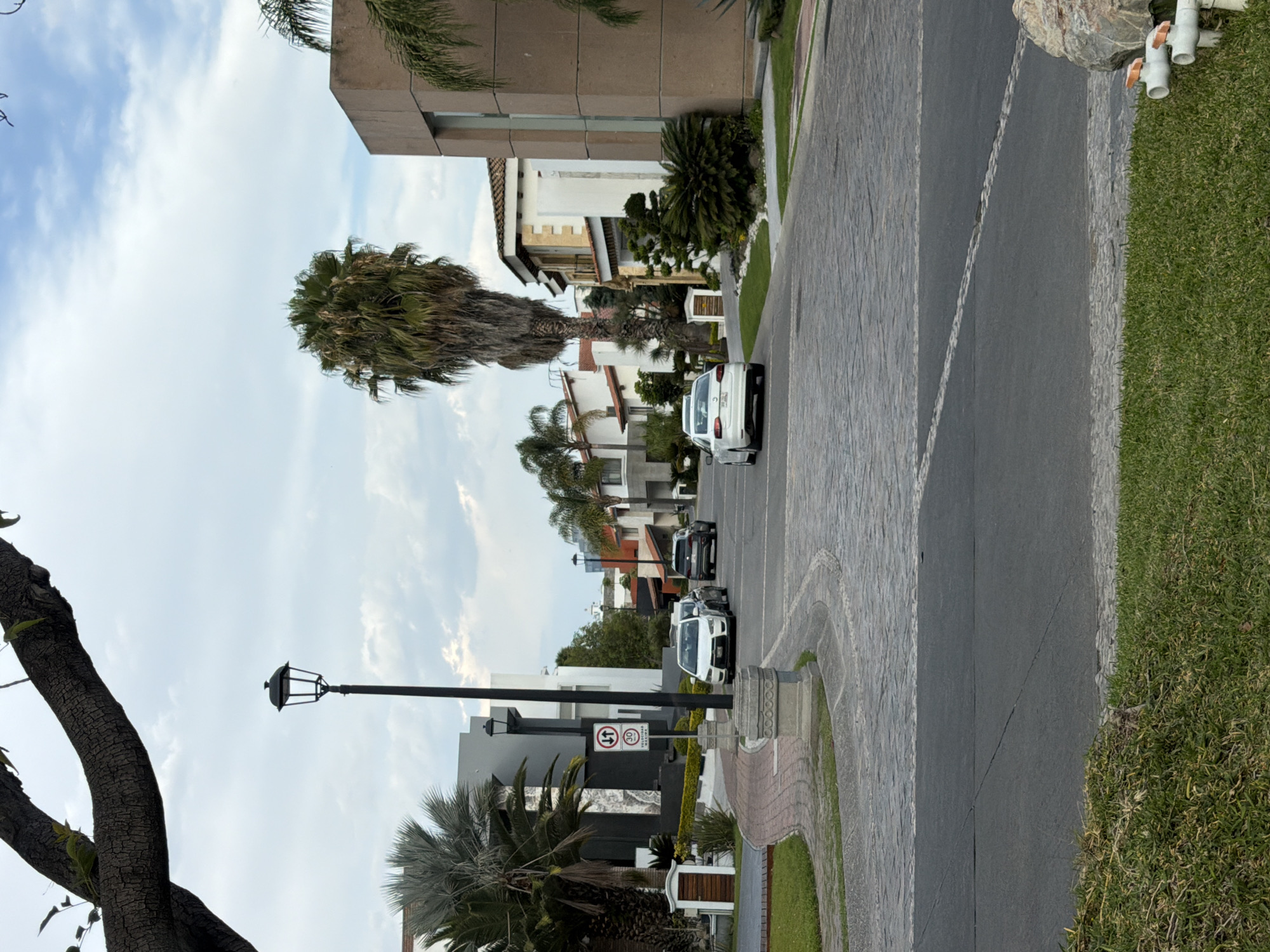 This image depicts a residential street in San Bernardino Tlaxcalancingo, Mexico, under a bright, partly cloudy sky during the daytime. The perspective looks down the street, which is paved with gray, textured material. On the right side, the road is bordered by a narrow strip of well-maintained green grass and a stone-paved sidewalk or driveway leading to modern houses. On the left, similar stone paving and landscaping flank the street.
The houses lining the street showcase a mix of architectural styles. On the right, some residences feature white facades with reddish-brown tiled roofs, while others display contemporary gray and brown elements. Lush green bushes, small trees, and palm trees with both vibrant and drier fronds adorn the front yards. On the left, houses with dark grey walls and large windows are visible behind a prominent black street lamp with a traditional lantern-style head. A thick, textured tree trunk is visible in the immediate foreground on the left.
Several vehicles are present on the street: a white SUV/van is parked or slowly moving on the right, and further down, a black SUV and another white car can be seen. A white rectangular traffic sign is mounted on a black pole on the left side of the street. It displays a red circular sign with a white horizontal bar (indicating "No Entry" or "Do Not Enter"), followed by a circular white sign with a red border containing the number "30" in black (denoting a 30 km/h speed limit). Below these symbols, the Spanish words "VELOCIDAD MAXIMA" (Maximum Speed) are written. No people are visible in the tranquil scene. Utility pipes are partially visible near a rock in the upper right background.