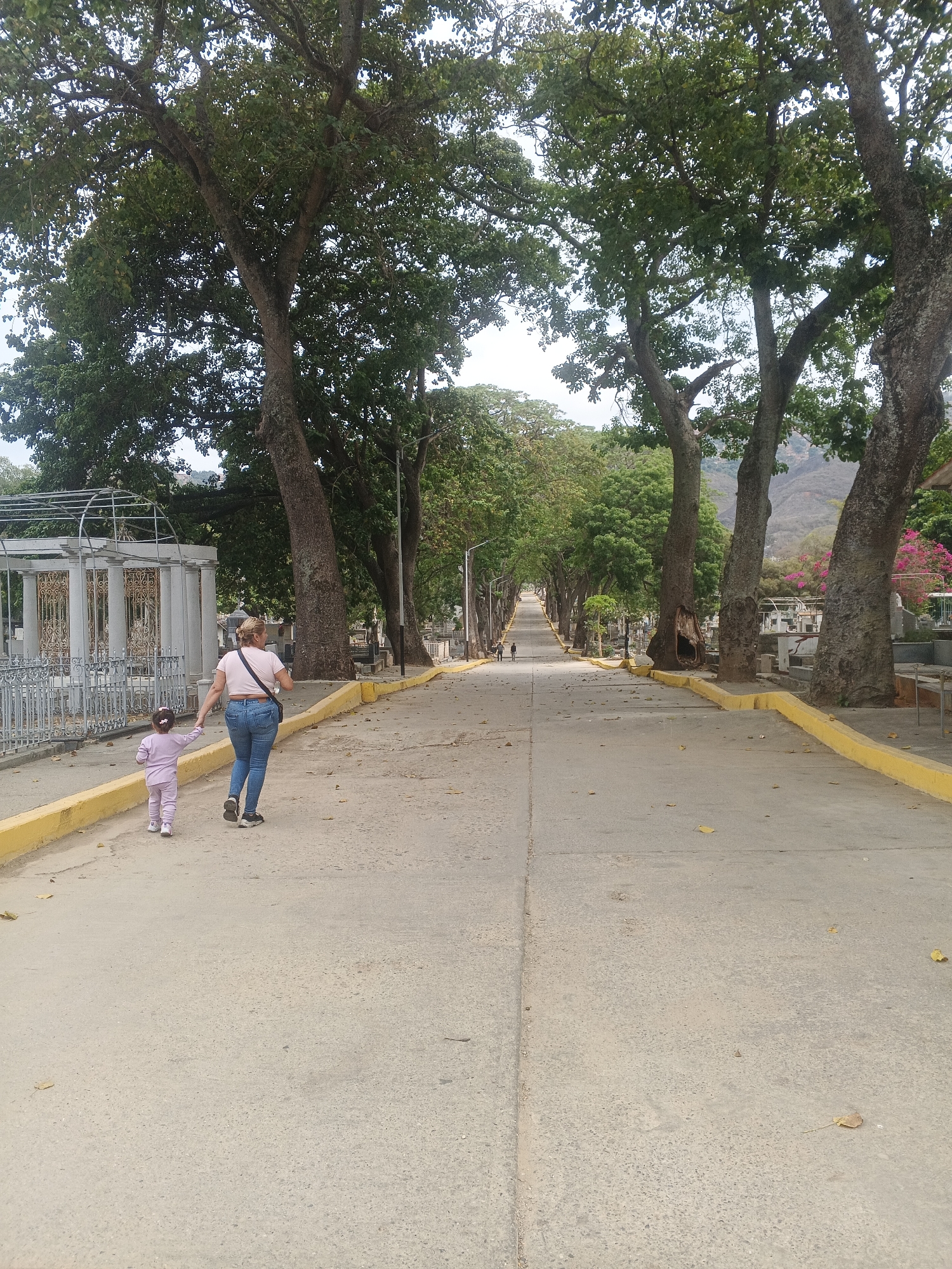 A woman and a young child, both dressed in casual attire, are walking hand-in-hand along a concrete path. The path is lined with large trees that form a canopy overhead. The sides of the path are bordered by a low yellow curb, beyond which are areas containing graves and mausoleums. The location is the Cementerio General del Sur in Caracas, Venezuela. Other people are visible further down the path.