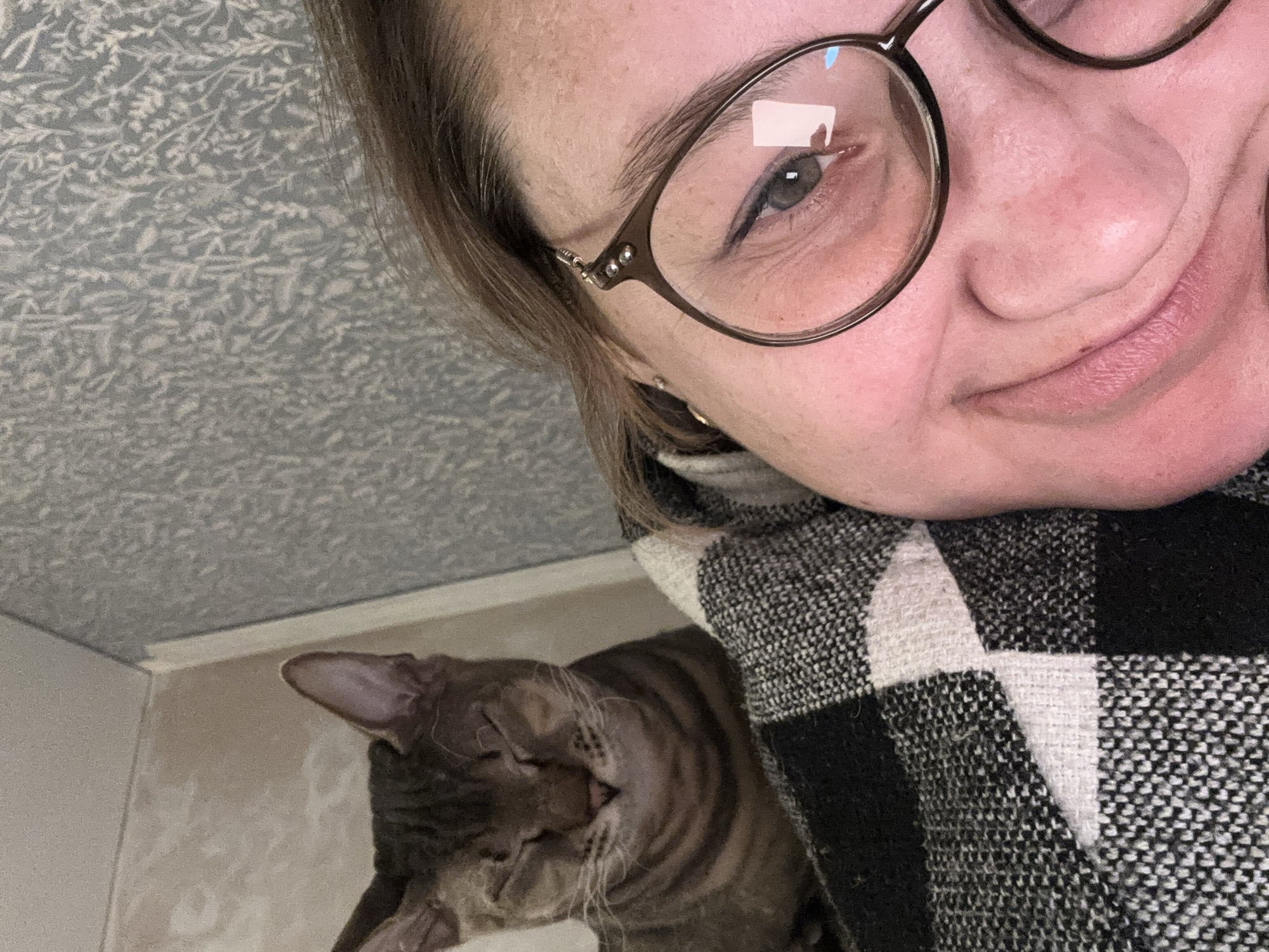 A close-up selfie shows a person wearing eyeglasses and a black and white checkered garment. Next to the person is a cat with closed eyes. The background includes a blue-patterned ceiling and beige wall. The location is Natukhayevskaya, Russia.