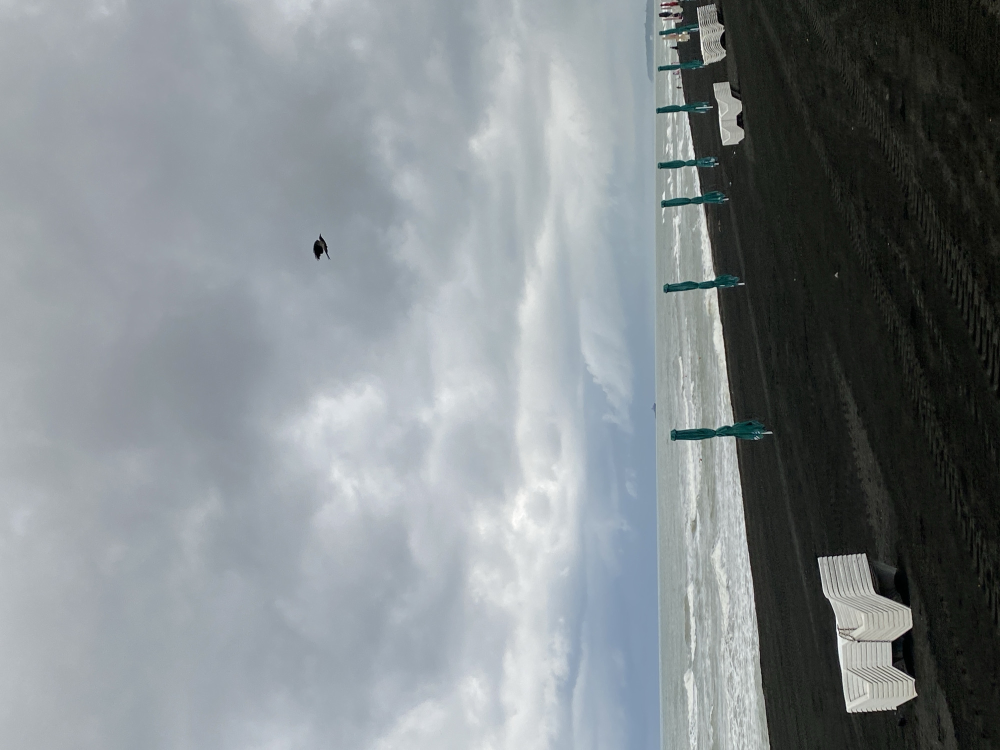 This is a wide-angle, eye-level photograph of a dark sand beach in Ureki, Georgia. The sky is overcast and gray, with heavy clouds. A single bird is in flight in the upper center of the frame. The sea is visible in the background, with moderate waves. Lined up along the beach are several folded green beach umbrellas and stacks of white beach chairs. In the far distance, a few people are visible near a building or structure. Tire tracks are visible in the dark sand. The overall impression is of a slightly gloomy, off-season beach scene.