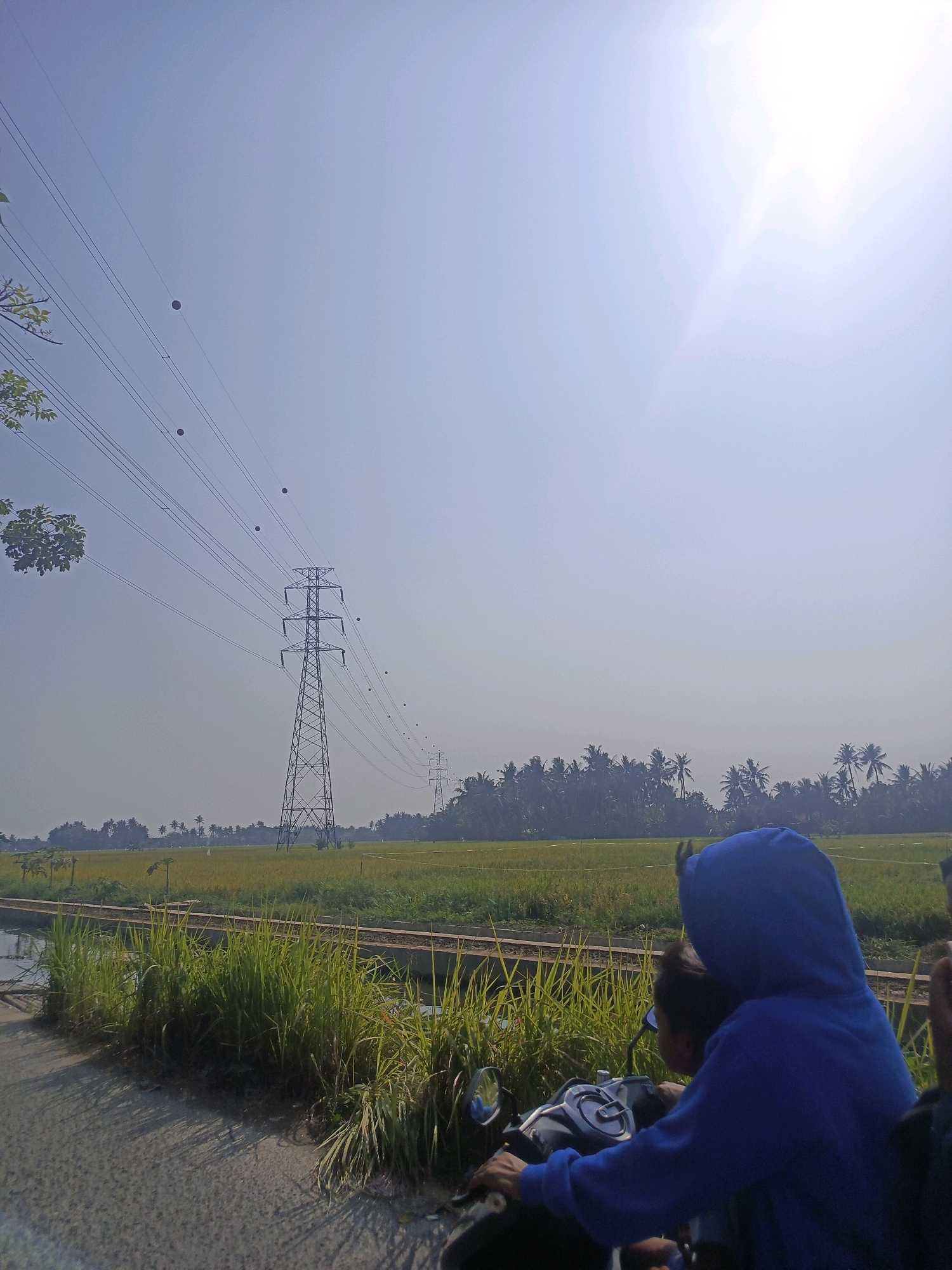 A person wearing a blue hoodie is riding a motorcycle with another person in front of them. They are traveling on a road next to a field of tall green grass and a body of water. In the background, there is a power line tower and more fields, with a line of palm trees on the horizon. The sky is clear and bright, with the sun shining strongly. The location is Rawa Boni, Indonesia.