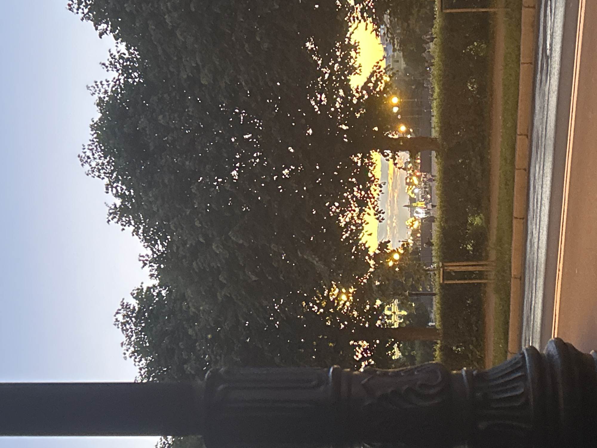 An outdoor medium shot captures a street scene at dusk. The foreground is dominated by a dark, ornate lamppost on the left. Beyond the lamppost, lush green trees form a dense canopy across the middle ground, silhouetted against a vibrant yellow sky. The setting sun's glow filters through the leaves, creating dappled highlights. In the distance, several figures are visible, appearing as small silhouettes walking along a pathway. The lower portion of the image shows a paved road with white lane markings. The overall atmosphere suggests a peaceful evening in a city park or along a tree-lined avenue.