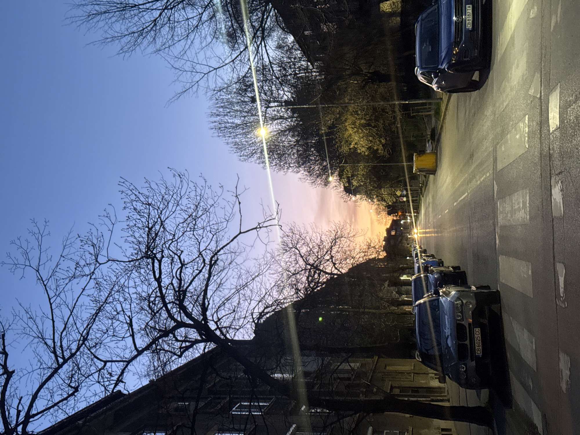 The image depicts a street in Sofia, Bulgaria, at dusk. The sky transitions from blue to orange near the horizon. Bare trees line both sides of the street. On the right side of the street, several parked cars are visible, including a dark blue van and other vehicles. The street has a zebra crossing. Buildings are visible on both sides of the street, silhouetted against the sky. Street lights are illuminated in the distance. The vehicle nearest the viewer has the license plate CB 6025 CC, and the one a few cars down the street has the license plate CB 6187 TA.