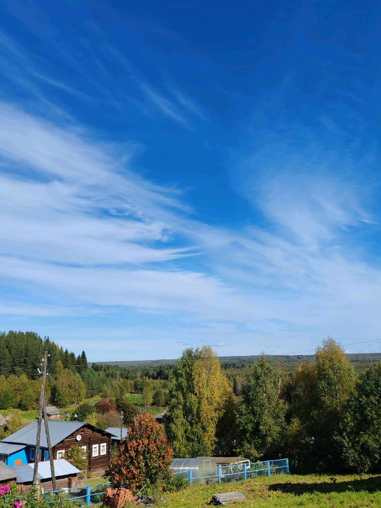 The image depicts a rural landscape under a bright blue sky with wispy white clouds. In the foreground, a cluster of wooden houses with metal roofs is visible. One house is painted blue, another is a darker wood color, and a smaller structure is partially obscured. A wooden utility pole stands near the houses, with wires running across the frame. The houses are surrounded by trees, some of which are displaying autumn foliage with shades of red and yellow. A blue metal fence encloses a portion of the yard, where a greenhouse structure and some stacked bricks are present. The background reveals a dense forest stretching to the horizon, with rolling hills and a vast expanse of greenery. The overall scene suggests a tranquil, possibly autumnal, day in a village. The presence of a satellite dish on one of the houses indicates modern amenities in a rural setting. The location is identified as Chukhlem, Russia.