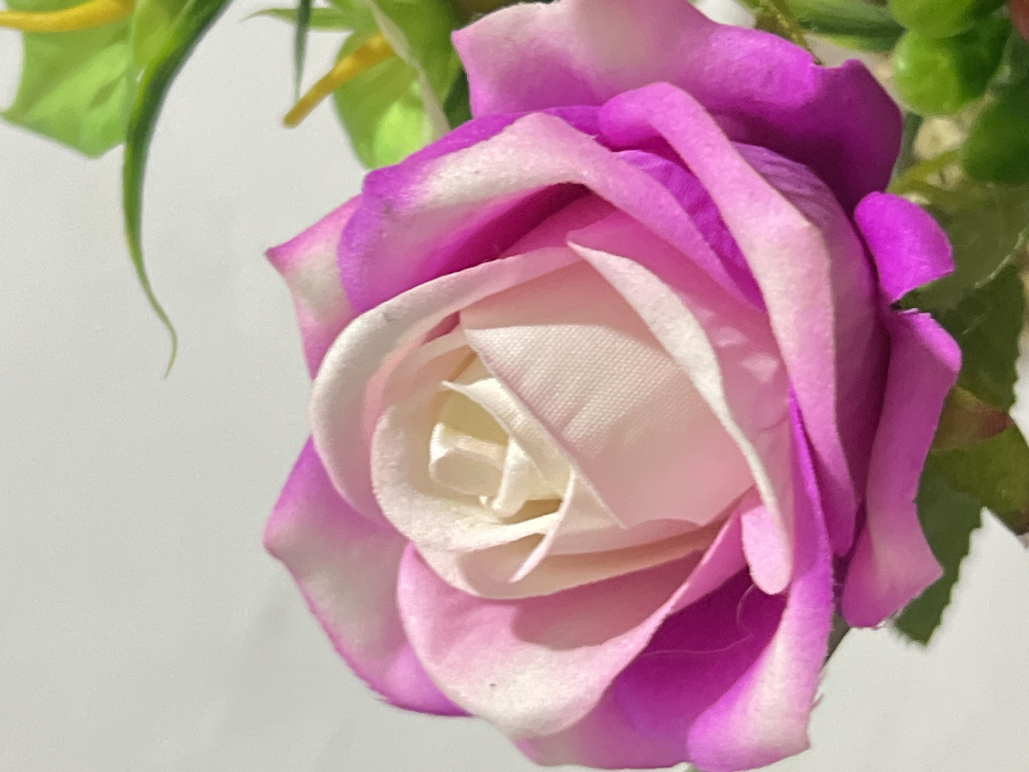 A close-up, eye-level shot focuses on a pink and white rose against a plain white background. The rose's petals are layered and soft, with a gradient of color from deep pink at the edges to a lighter pink and white towards the center. Green leaves and yellow accents are visible in the upper right portion of the image, suggesting the rose is part of a larger floral arrangement. No people are present. The scene does not provide information about its location in Denpasar, Indonesia.