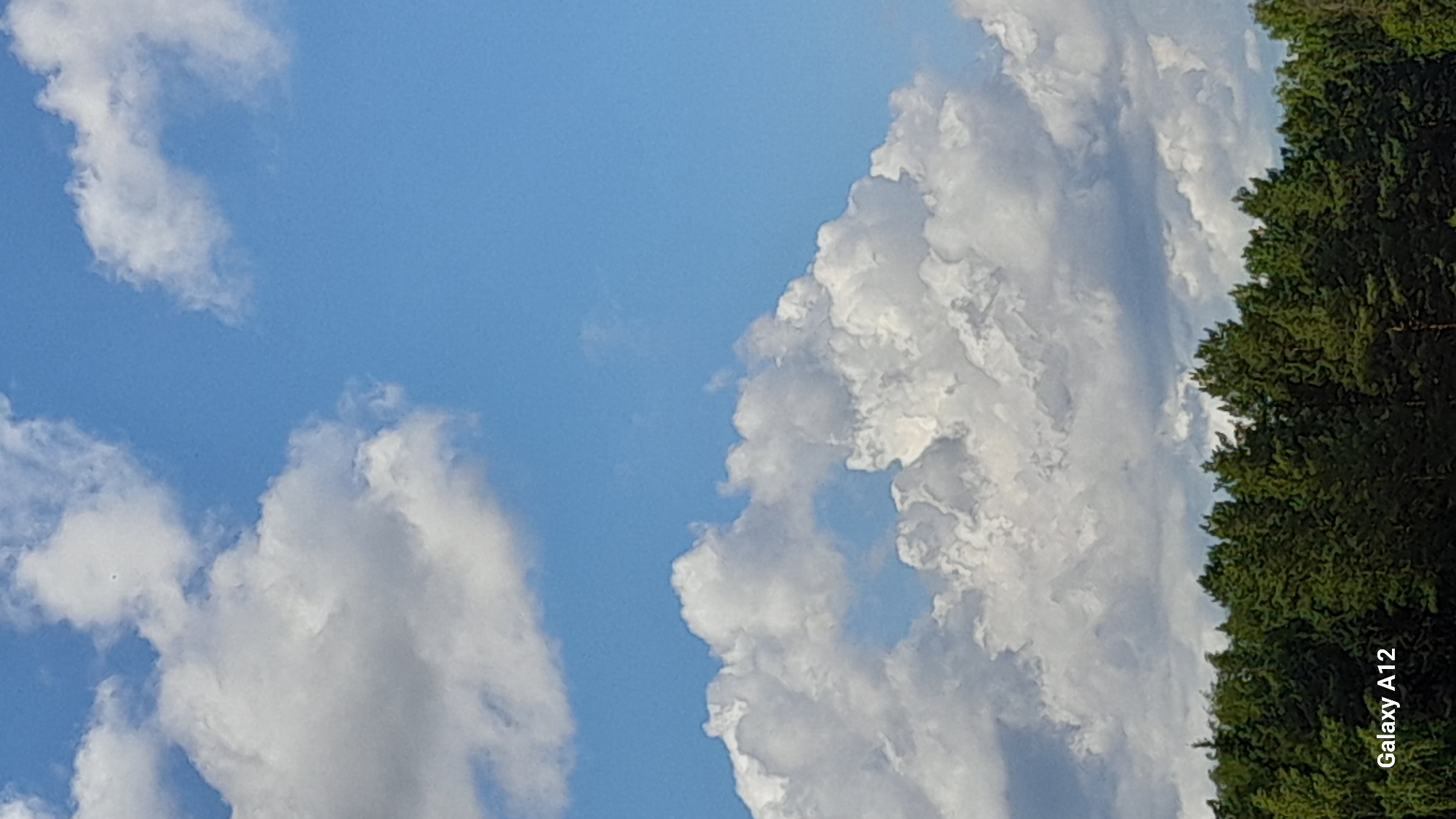 The image shows a bright blue sky filled with fluffy white clouds. A dense line of green pine trees forms the horizon at the bottom of the frame, with the text "Galaxy A12" in the lower left corner. The scene appears to be an outdoor landscape.