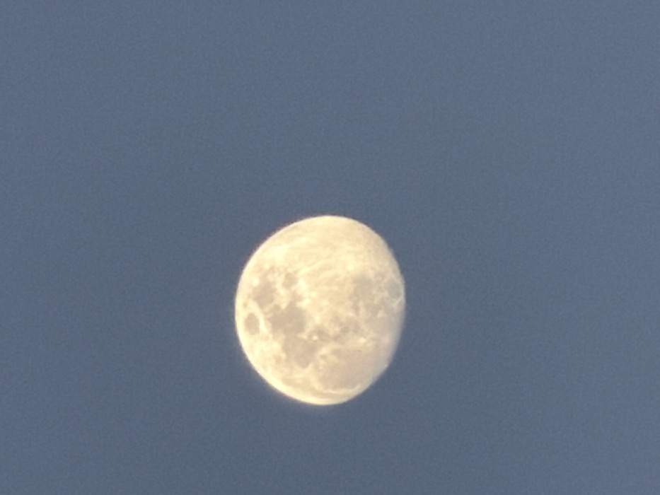 This image presents a clear, full-frame view of the Earth's moon against a uniform, light blue sky. The moon, appearing yellowish-white and largely spherical, is positioned slightly to the upper-left of the central axis. Its surface exhibits discernible topographic features, including multiple craters of varying sizes and darker, smoother areas consistent with lunar maria. The unblemished blue hue of the background sky indicates a daylight or twilight observation period. No other celestial bodies, man-made objects, human figures, or terrestrial landmarks are present within the frame. This celestial observation was recorded from the city of Tel-Aviv, Israel.