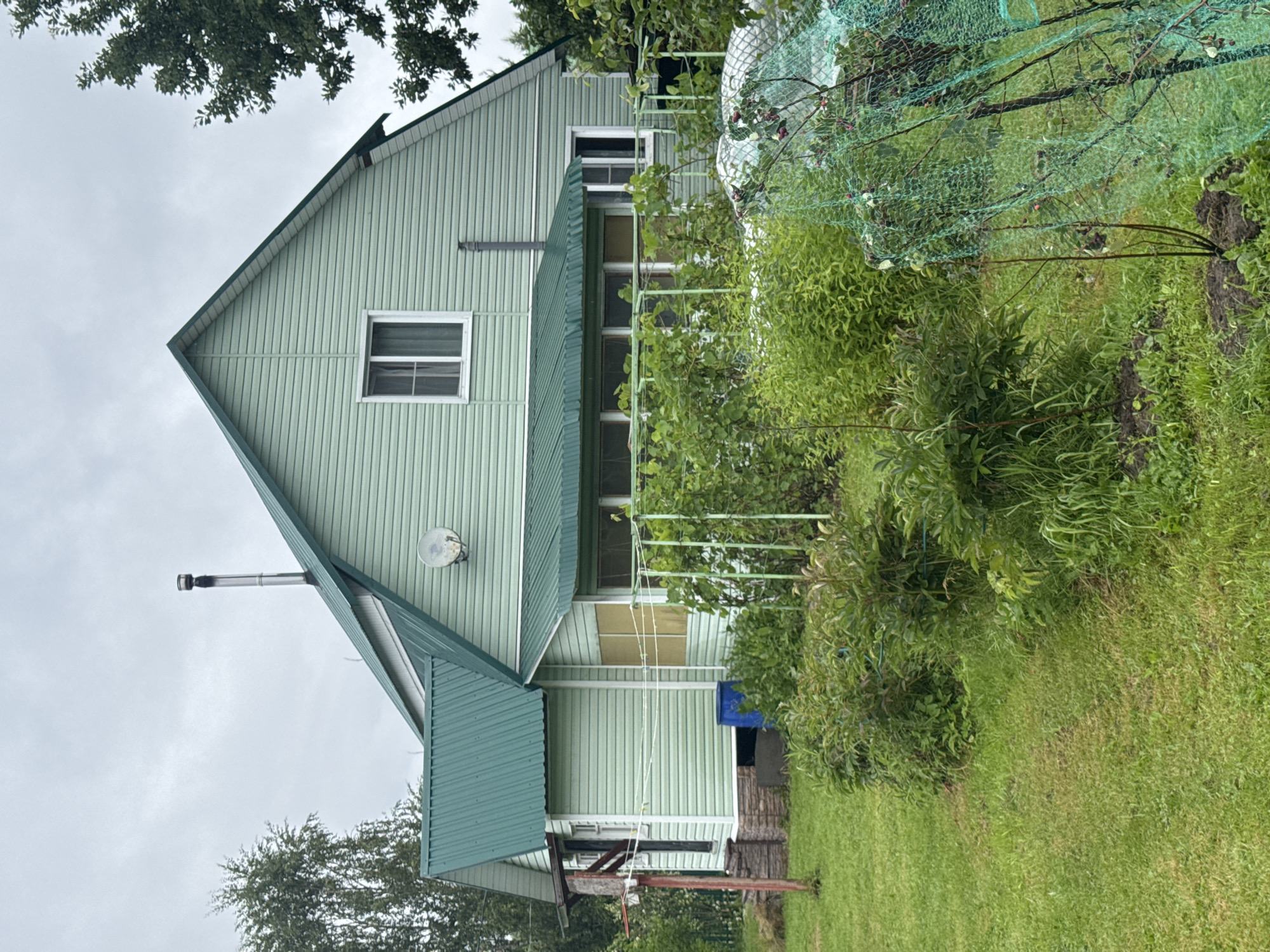 The image depicts a light green, two-story house with a green metal roof in Красное, Russia. A tall, narrow chimney extends from the peak of the roof. A satellite dish is mounted on the upper right side of the house. Below the main house, there is an attached section with a green metal awning, featuring a row of windows and a screened-in area. The house is surrounded by lush green grass, a garden with various plants and bushes, and some trees. In the foreground, a green mesh netting is draped over some plants. A blue barrel is visible near the foundation of the house, and a clothesline with wooden posts is situated to the left of the house. The sky is overcast with a dull, gray appearance.