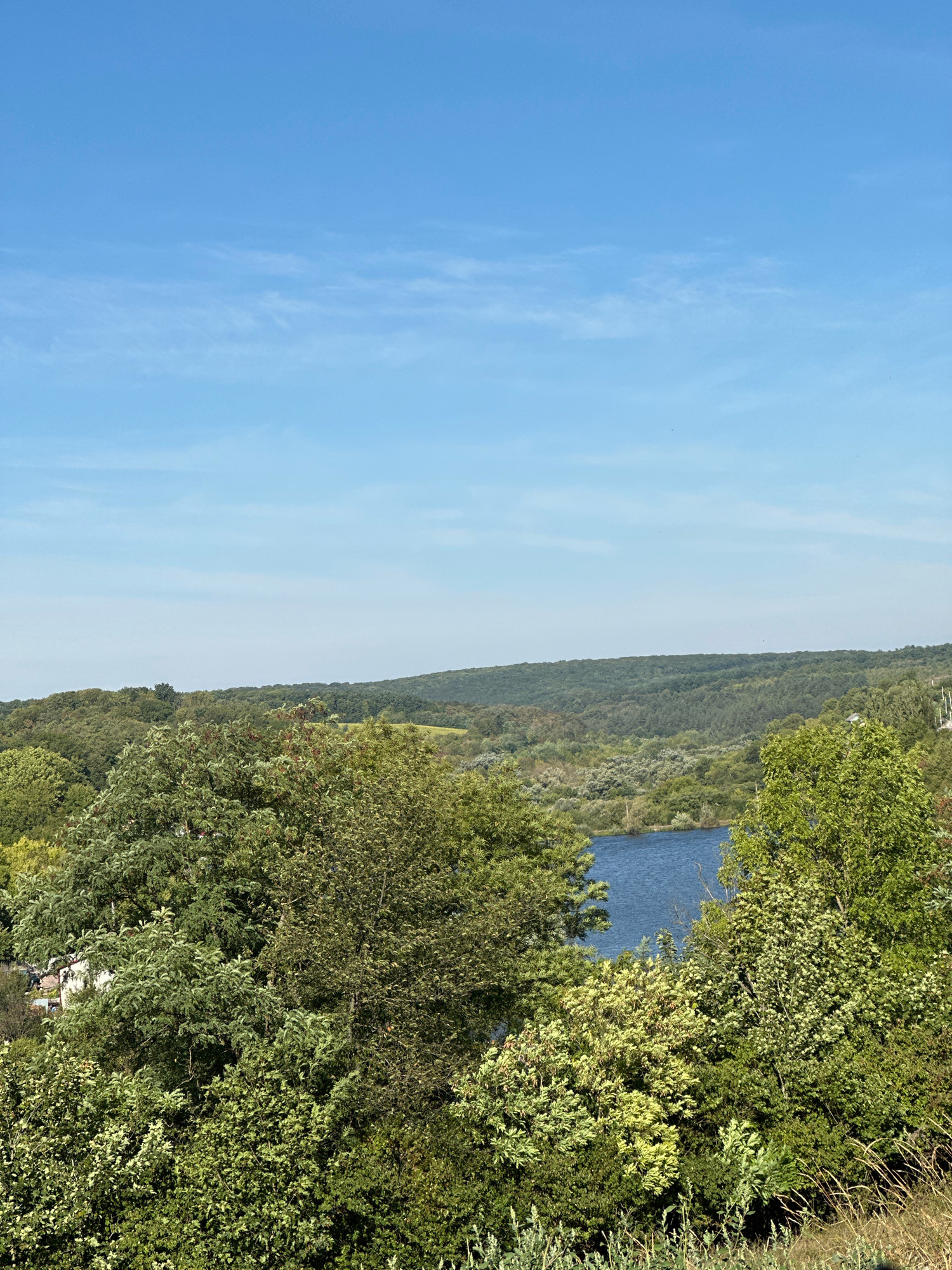 The image depicts a serene natural landscape under a clear blue sky with wispy clouds. In the foreground, lush green trees and bushes dominate, with some lighter green foliage interspersed. A small body of deep blue water, likely a lake or river, is visible in the middle ground, partially obscured by the dense vegetation. Beyond the water, rolling hills covered in trees stretch towards the horizon. The scene is consistent with the natural environment found in and around the village of Makiv, Ukraine, known for its picturesque rural setting and proximity to bodies of water and forested areas. There are no people or man-made structures prominently visible, emphasizing the natural beauty of the location.