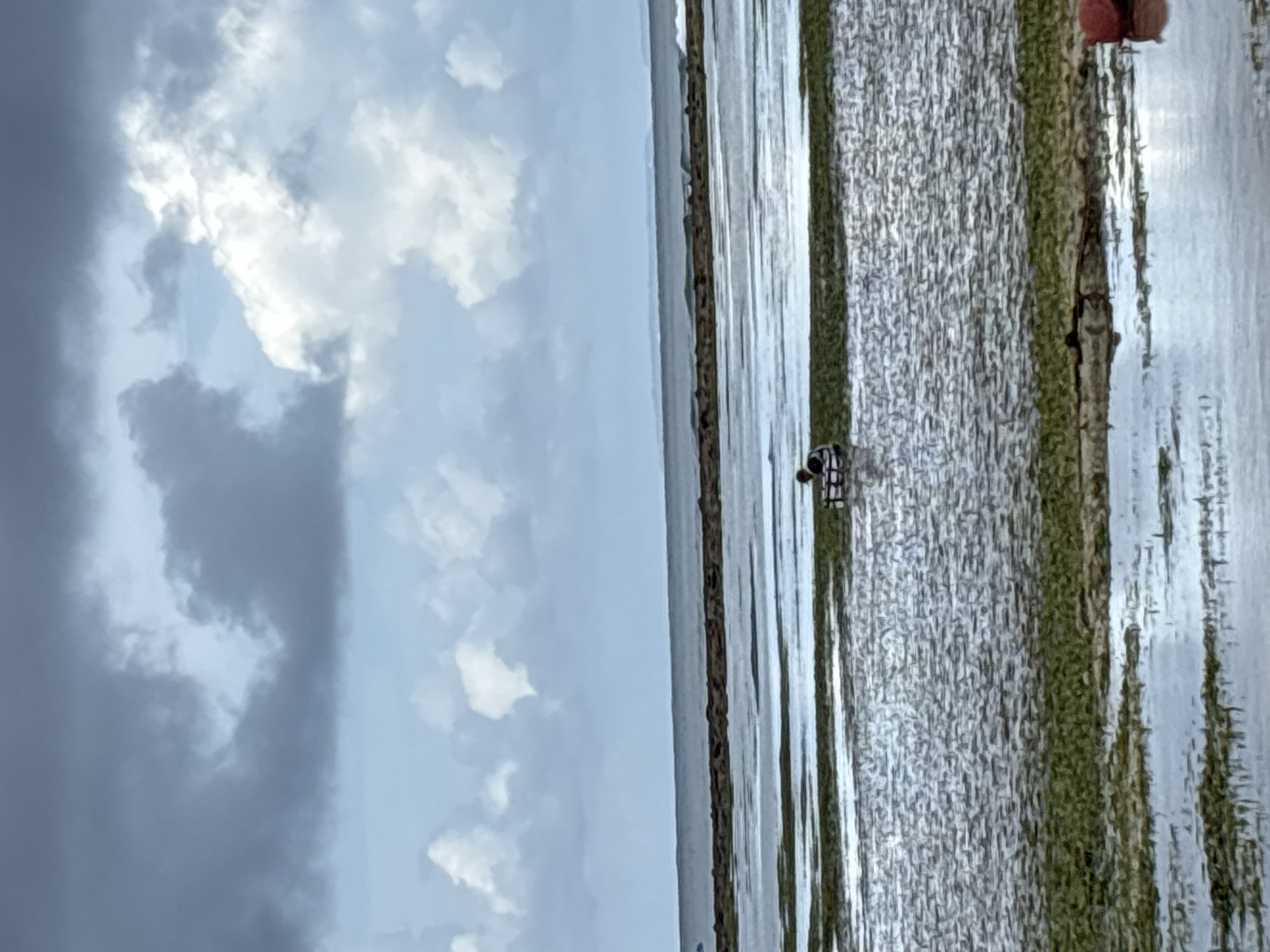 A medium shot, shot vertically, captures a beach in Kuta Selatan, Indonesia under a cloudy sky. The clouds vary in color from dark grey to light blue and white. The tide appears to be low, revealing a textured beach surface, interrupted by long, parallel lines of what appears to be green algae or seaweed. A single person is present on the beach; their features are not discernible, but they are standing near the shore. Some buoys are visible in the water near the seaweed. The horizon is visible in the middle of the frame.