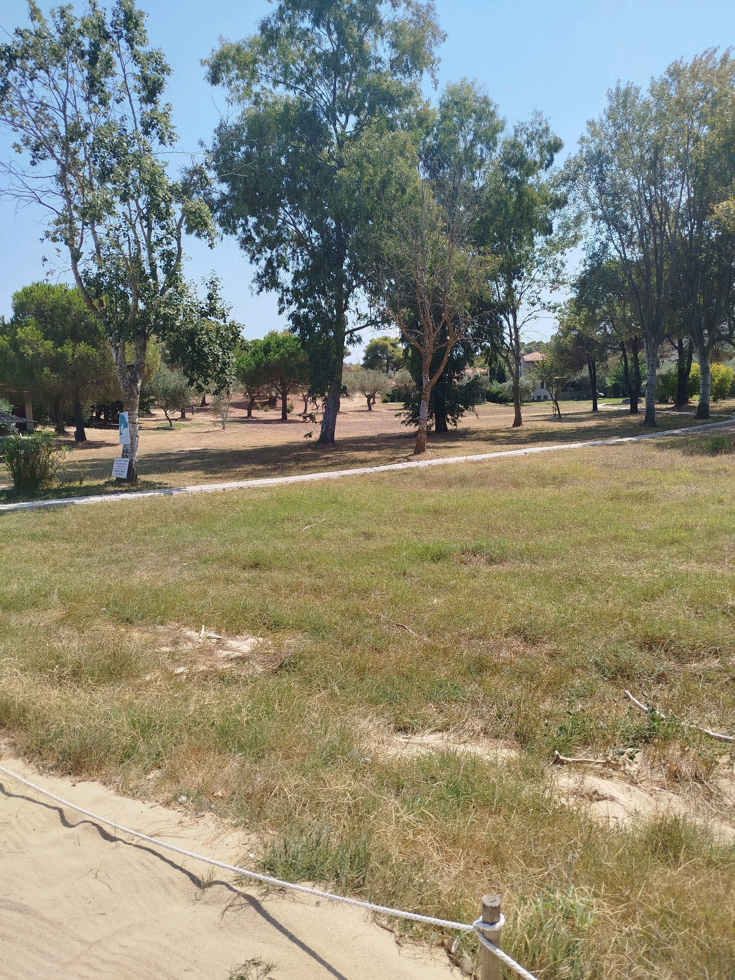 A sunny daytime scene depicts a park-like area with various trees and dry grass. In the foreground, a sandy path is bordered by a white rope secured to wooden posts. A paved walkway winds through the middle ground, separating the sandy area from a grassy field. Several trees, some with prominent trunks and full canopies, are scattered throughout the park. In the background, more trees and a building with a red-tiled roof are visible, suggesting a rural or semi-rural setting within Sithonia Municipal Unit, Greece. The sky is clear and blue.