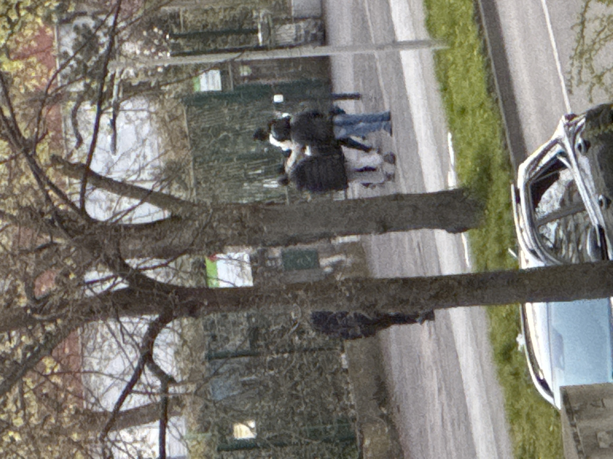 The image, taken in Strasbourg, France, depicts a street scene with a road running diagonally from top left to bottom right. A group of people are walking on the road, near a fence and vegetation. A vehicle is parked on the right side of the image. The scene is partially obscured by trees in the foreground.