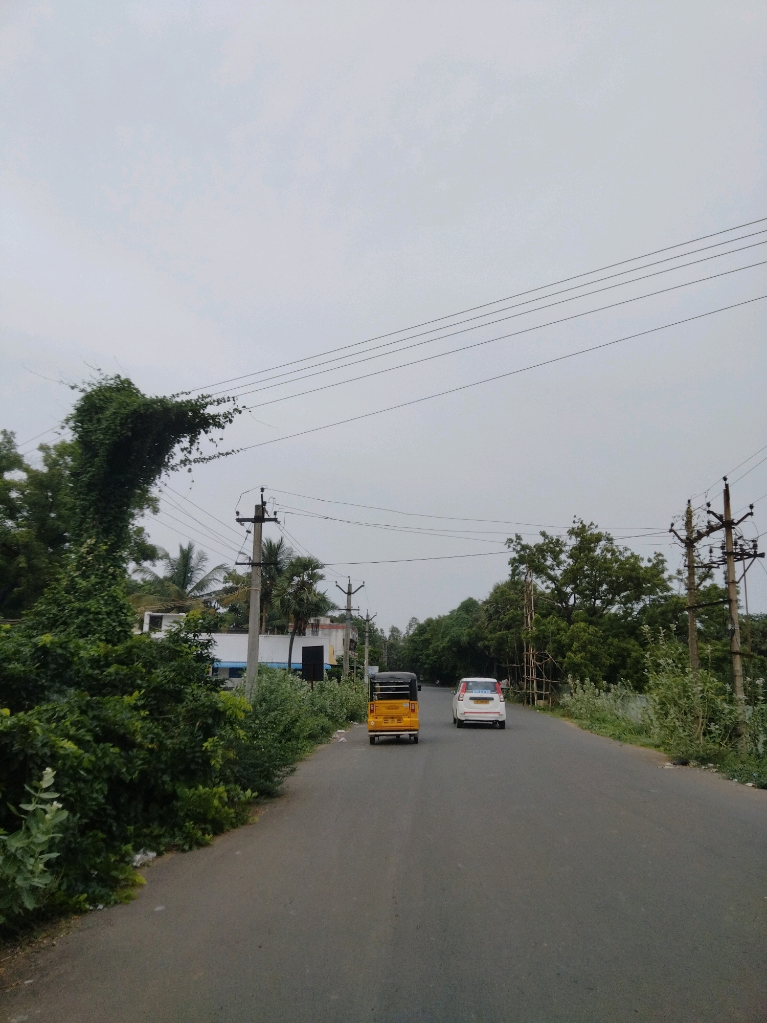 The image shows a two-lane asphalt road in Poonthandalam, India, under an overcast sky. A yellow auto-rickshaw and a white car are traveling away from the viewer. Dense green foliage lines the left side of the road, with a large vine-covered tree dominating the foreground. Utility poles with multiple wires are visible on both sides of the road. In the background, buildings and more trees are present. The scene appears to be captured during daylight.