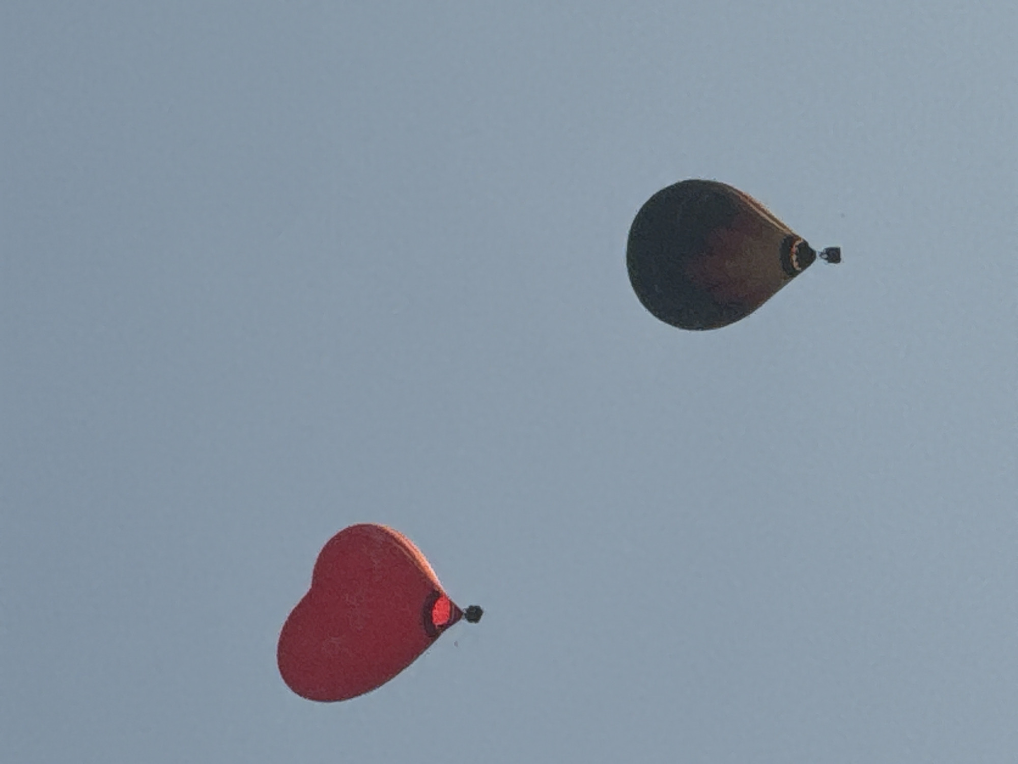 The image shows two hot air balloons in a clear sky. The balloon on the left is red and shaped like a heart, with a basket visible below. The balloon on the right is dark-colored and has a more traditional teardrop shape, also with a basket. The sky is a pale blue, suggesting it is either early morning or late afternoon. There is no visible indication of the city of Dmitrov, Russia, in the image.