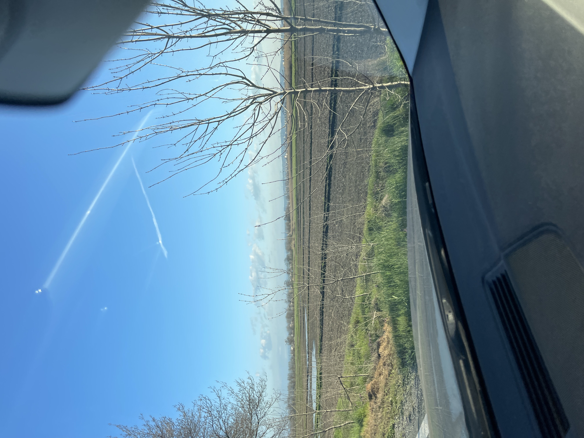 The image shows a view from inside a vehicle, looking out towards a rural landscape. The sky is blue with contrails. In the foreground, there is bare-branched tree. Beyond that, there are agricultural fields, with rows and some standing water visible. There appears to be vegetation alongside the road. The vehicle interior is visible on the right side of the frame. There is no discernible evidence to specify it is Burgas, Bulgaria.