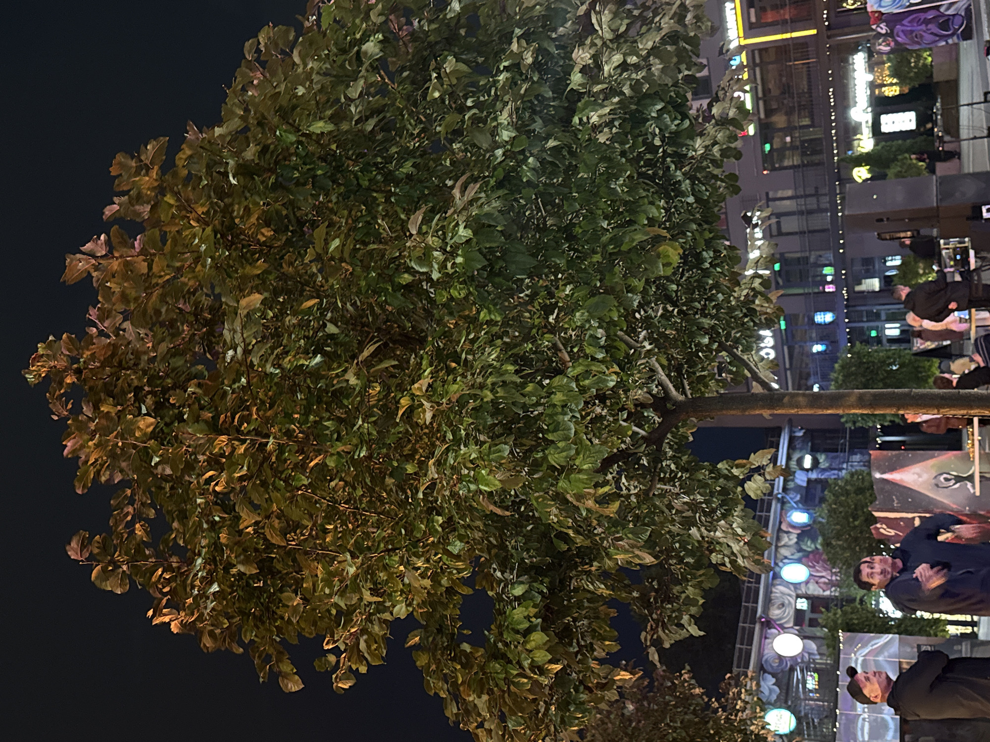 The image depicts a nighttime scene in a public outdoor space, likely a city center, with a large tree in the foreground. The tree has a full canopy of leaves, illuminated by artificial lights, giving some leaves a yellowish-orange hue. In the background, there is a multi-story building with numerous windows and illuminated signs, suggesting a commercial or entertainment district. Several people are visible. To the left, two men stand near the tree; one is wearing a black cap and looking to the left, while the other, in a dark jacket, is facing forward with his mouth open as if speaking or reacting to something. Further back, several other individuals are dispersed, with some near what appears to be a stage or DJ booth, indicating a possible event or gathering. The overall environment suggests an urban setting with a lively atmosphere, possibly a festival or a night out. The location is identified as Ufa, Russia.