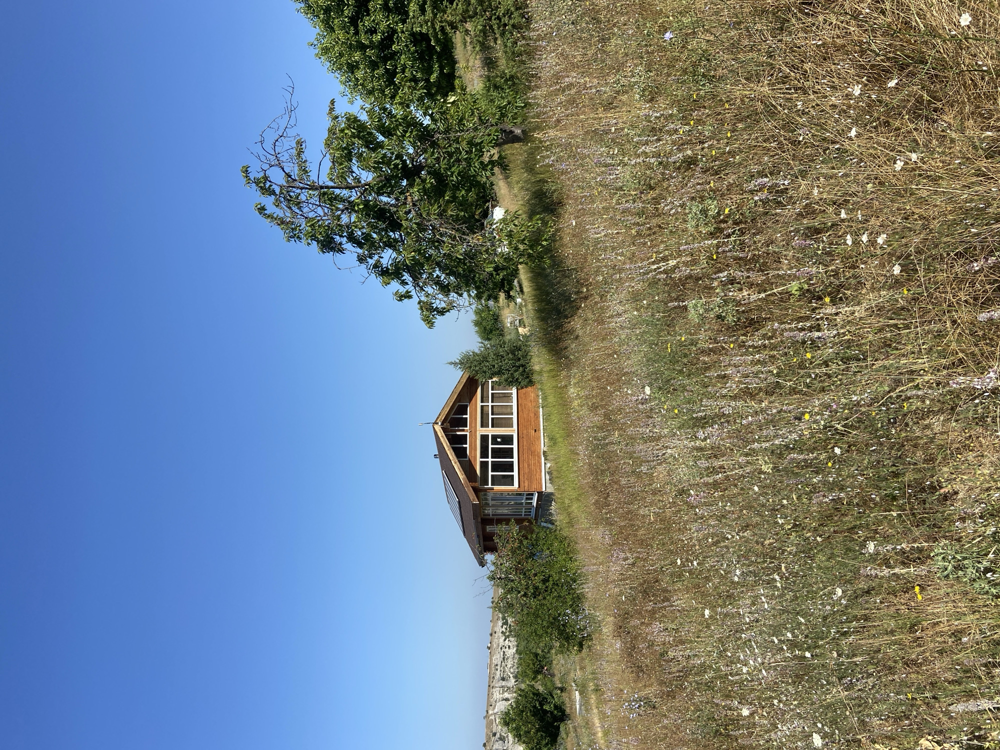 A wooden house with a gabled roof and solar panels is situated on a grassy hill under a clear blue sky. The house is surrounded by dry grass and wildflowers. There are trees on the hillside, and in the distance, a cliff face is visible. The scene appears to be in a rural or natural setting.