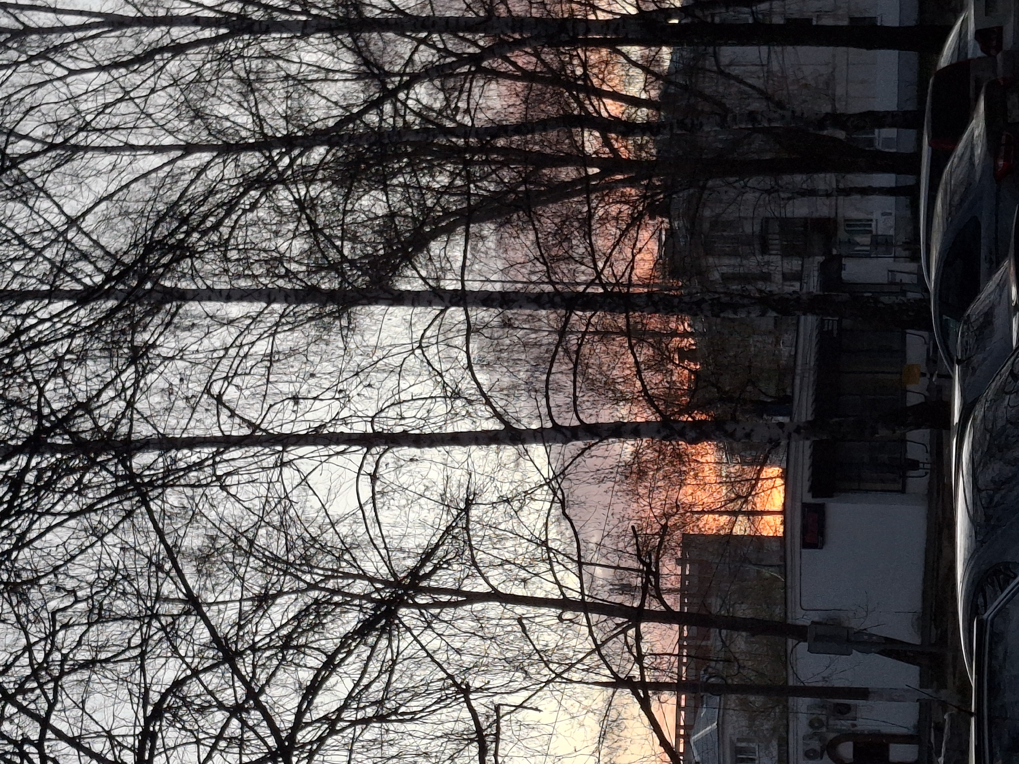 The image appears to be taken in an urban environment, likely in Chaikovsky, Russia. It shows a view through bare tree branches towards a building complex at sunset. The sky is tinted with orange and pink hues where the sun is setting. A row of parked cars is visible on the right side of the frame, suggesting this may be a street or parking area next to the buildings. The trees are bare, indicating it might be late autumn or winter. The overall impression is of a mundane urban scene captured at a specific time of day with dramatic lighting. There are no people visible in the image.