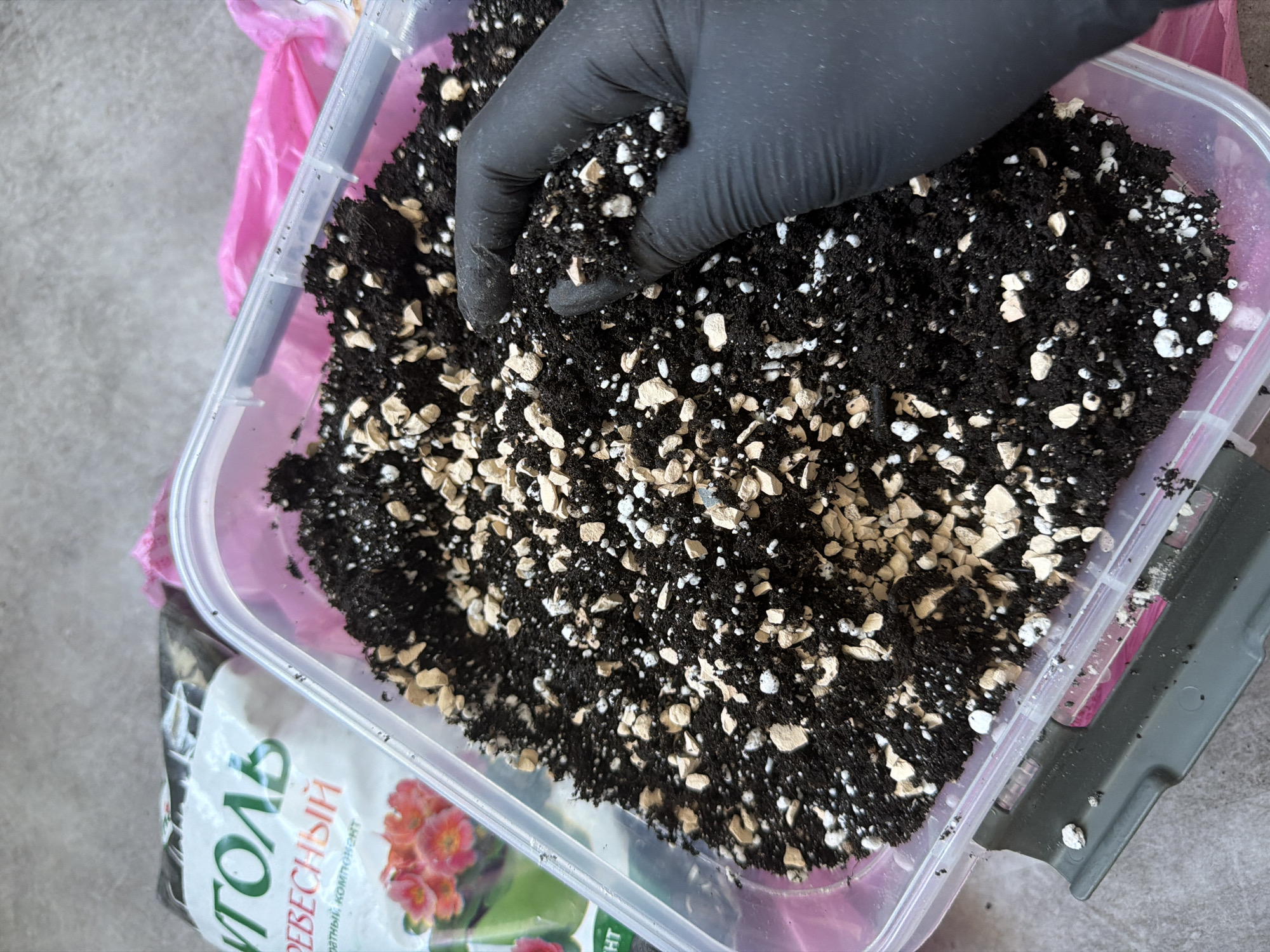 The image captures a close-up of a hand in a black glove mixing potting soil within a clear rectangular plastic container. The soil is dark brown/black, profusely mixed with white spherical particles (likely perlite) and light beige/brown, irregularly shaped fragments (possibly vermiculite or bark chips), indicating a well-aerated and draining substrate.
The gloved hand is positioned centrally, actively sifting or blending the soil components. A pink crinkled plastic bag is visible beneath the container. To the lower left, part of a white and green bag is visible, featuring text in Cyrillic. The legible text includes "УГОЛЬ" (Ugol), meaning "Coal" or "Charcoal," and "ДРЕВЕСНЫЙ" (Drevesnyy), meaning "Woody" or "Wooden," followed by "КОМПОНЕНТ" (Komponent), meaning "Component." This suggests the bag contains wood charcoal, used as a soil amendment.
The background consists of a textured, light grey surface, possibly concrete or a work bench, indicating an indoor or outdoor potting area. The scene depicts the preparation of a specialized soil mix, likely for gardening or plant care. The context places this activity in Chaikovsky, Russia, consistent with the Cyrillic labeling.