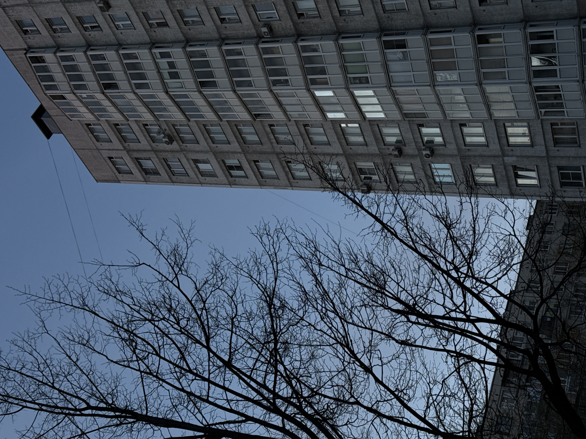 A low-angle shot depicts a gray, multi-story building looming over bare tree branches against a pale blue sky. The building facade is grid-like with numerous windows, some with air conditioning units. The branches fill the lower portion of the frame, creating a stark contrast with the structured architecture above. The location could be Saint Petersburg, Russia, given the typical architecture style.