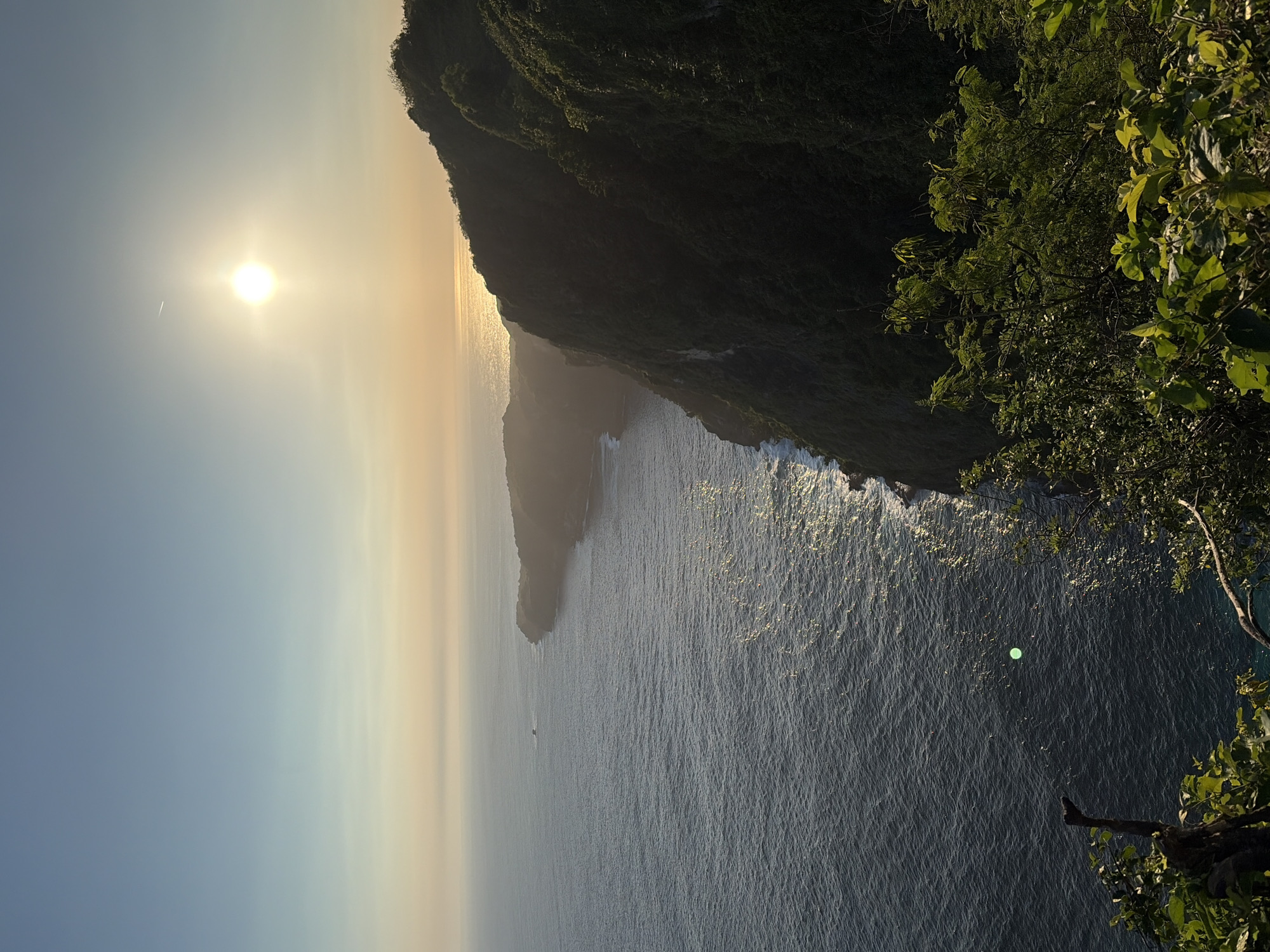 A vertical, eye-level, medium shot captures a breathtaking sunset over the ocean from a cliffside vantage point in Nusa Penida, Indonesia. The sun, a bright, diffused orb, hangs high in the clear sky, casting a golden sheen across the water and a dramatic silhouette onto the lush, verdant cliff that dominates the right side of the frame. The cliff face is densely covered in vegetation, appearing dark and mysterious in the fading light, with a few lighter green leaves in the foreground catching the sun's rays. The ocean below is a deep, textured blue, reflecting the sky's warm tones in its ripples. The coastline curves away into the distance, creating a sense of expansive, untamed natural beauty. In the middle distance, a small boat can be seen on the vast expanse of water. The scene is tranquil and awe-inspiring, a testament to the natural splendor of Nusa Penida.