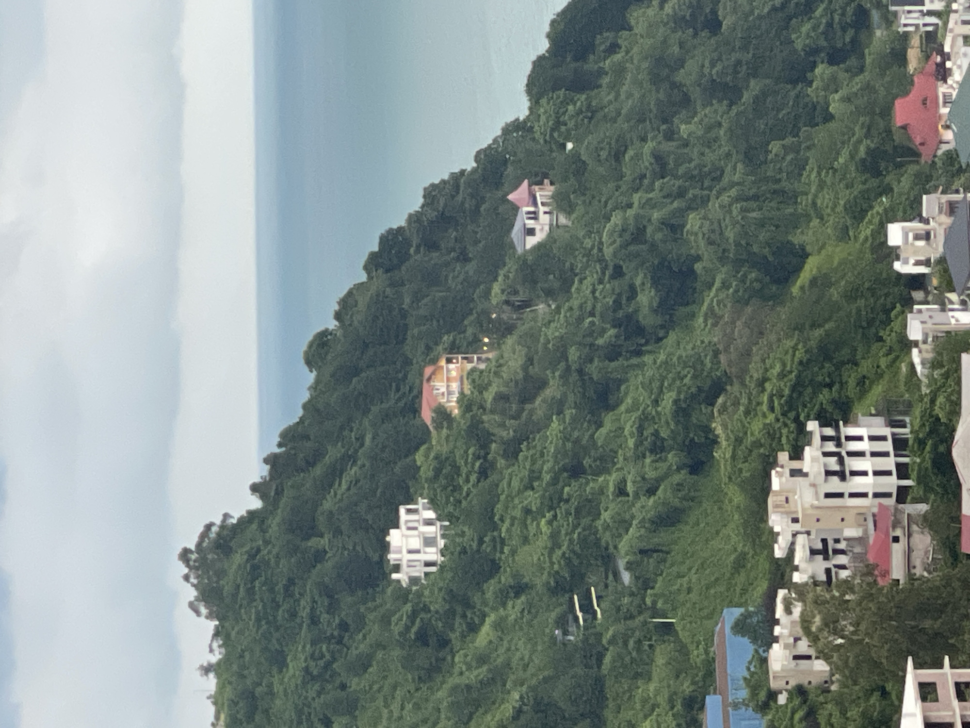 The image shows a panoramic view of the city of Batumi, Georgia, from a high vantage point. The scene is dominated by lush green hillsides densely covered with trees. Several buildings are scattered across the hills, ranging from modern white structures to houses with red and orange roofs. In the foreground, a cluster of multi-story apartment buildings is visible, featuring white facades with dark windows and balconies. A bright blue building is also present in the lower left corner. The horizon line is marked by the deep blue expanse of the Black Sea meeting a cloudy sky. The overall impression is one of a coastal city integrated with its natural mountainous landscape.