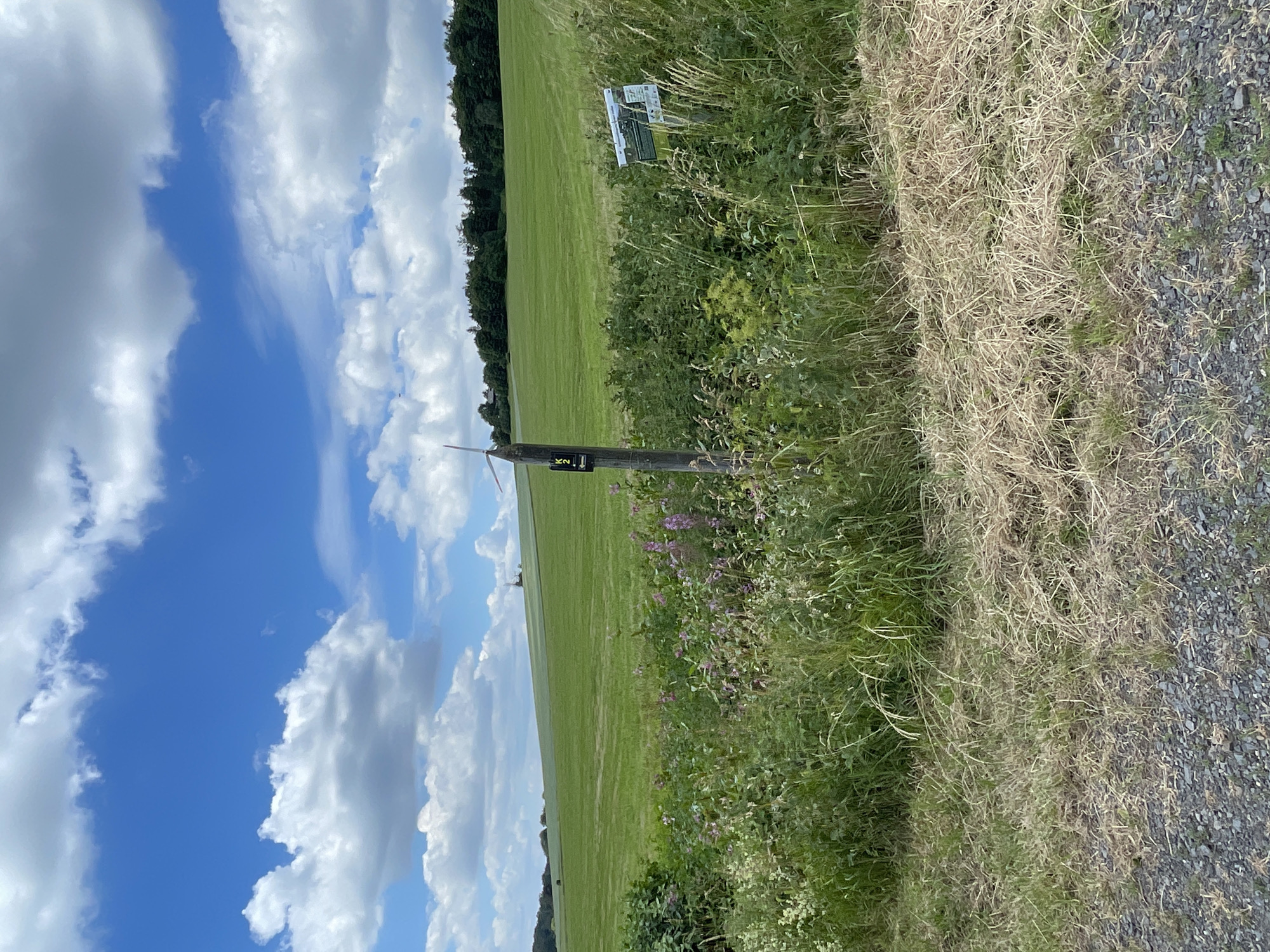 This image depicts a rural scene in Schwarzenborn, Germany. The foreground is dominated by dry, light-colored grass and a gravelly path. To the right of the path, a dense area of tall green grass and wildflowers, some with purple blooms, is visible. A weathered wooden post stands in the middle ground, featuring two small, dark signs, one with a white arrow and the numeral "9", and another below it with a white arrow and the letters "K2". A small, three-bladed object, resembling a mini windmill or propeller, is affixed to the top of the post. Further to the right, another wooden post supports a rectangular sign with text and an image. Behind this vegetation, a vast, undulating green field stretches into the distance, bordered by a line of dark green trees on the horizon. The sky above is a vibrant blue, dotted with scattered white clouds. The overall impression is one of a peaceful, open countryside on a bright day.