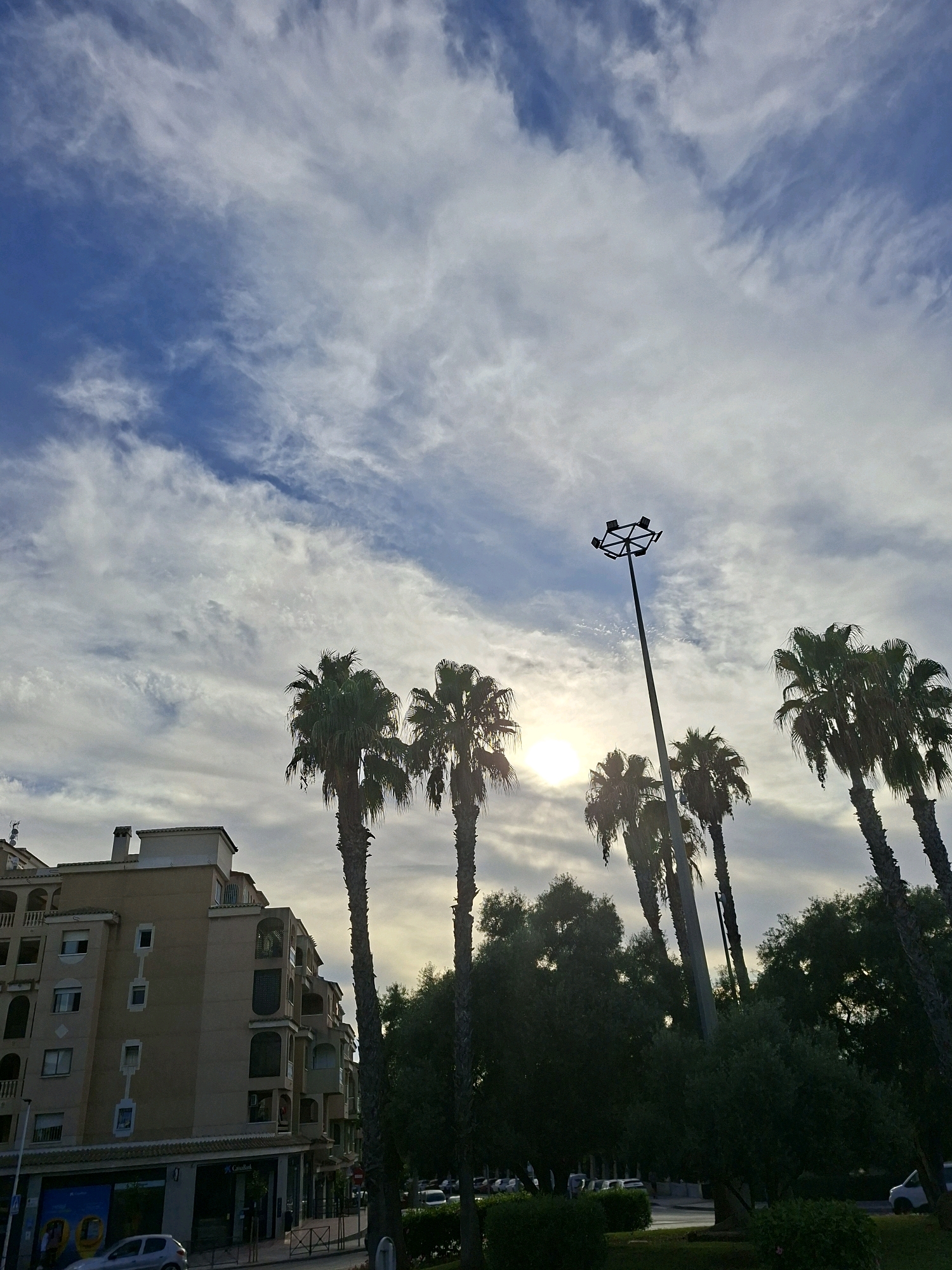 The image depicts a street scene in Torrevieja, Spain, under a sky filled with wispy clouds and a bright sun partially obscured by them. In the foreground, several palm trees are silhouetted against the sky, with their fronds reaching upwards. To the left, a multi-story apartment building with a light-colored facade and arched balconies is visible. The building has several windows and what appear to be air conditioning units. Below the building, a storefront with awnings is present, featuring a sign that reads "CaixaBank." A light-colored car is parked in front of the building. A tall lamppost with multiple light fixtures stands near the center of the frame, amidst the palm trees. In the background, lush green trees and foliage line the street, with parked cars visible further down the road. The overall scene suggests a sunny day in a coastal Spanish city.