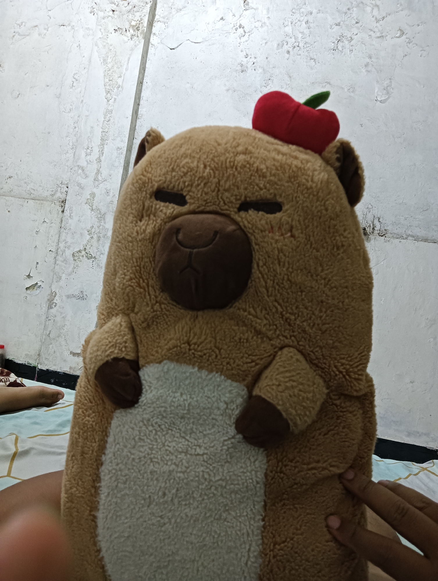 An overhead medium shot captures a plush toy, resembling a capybara, positioned in the center of the frame against a textured white wall. The toy is primarily brown, with a lighter tan belly and dark brown paws. It wears a red cherry-shaped hat with a green stem on its head. The toy's eyes are closed, and it has a dark brown snout with a smiling mouth. The background wall shows signs of wear and peeling paint, with visible lines and textures. In the lower left corner, a person's foot is visible, resting on a patterned bedsheet. A hand is also present in the lower right corner, gently touching the plush toy. The lighting is soft, illuminating the toy and its immediate surroundings. The scene appears to be indoors, in an unadorned room.