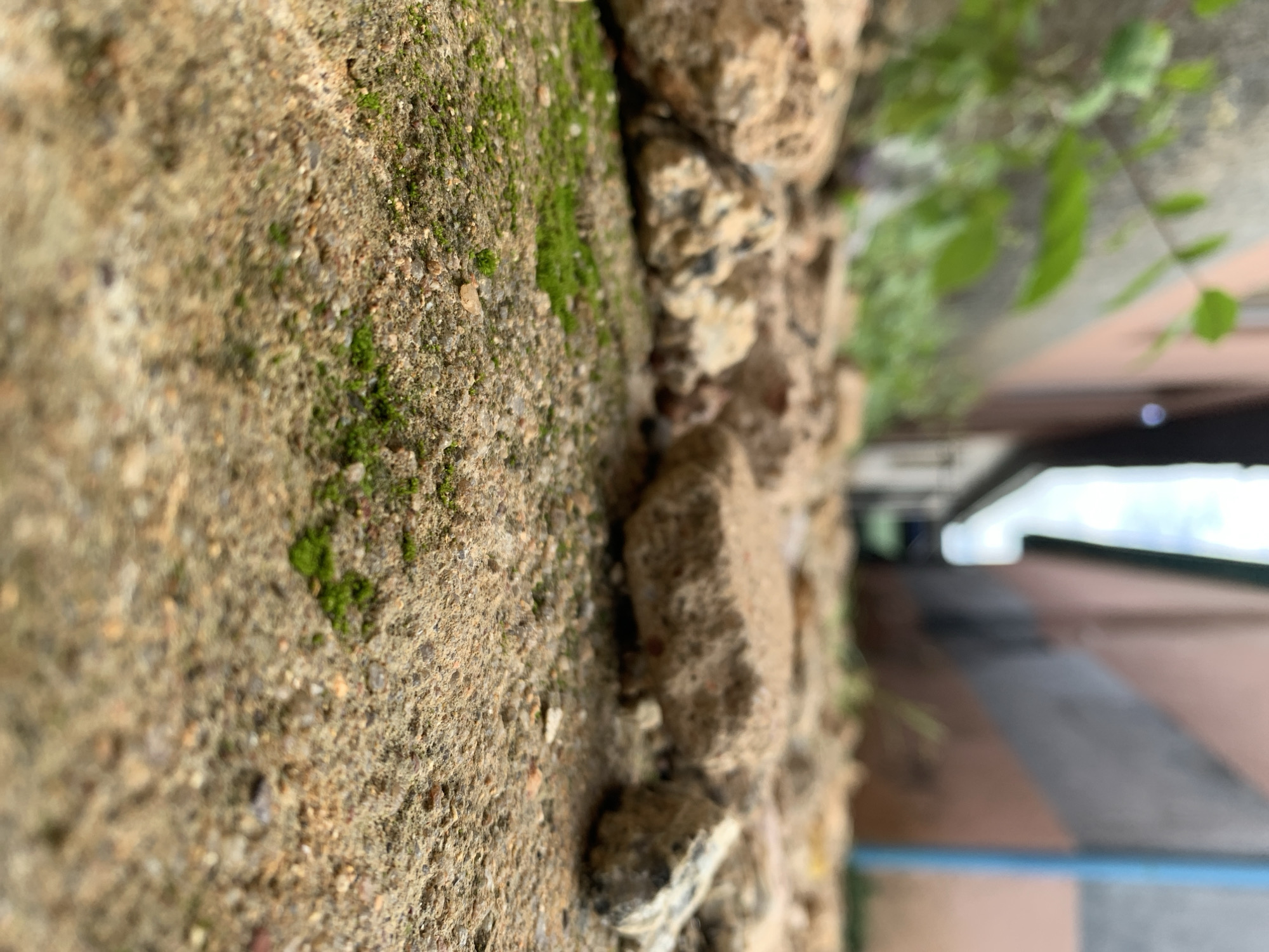 The image presents an outdoor ground-level perspective in Kabong, Nigeria. The immediate foreground displays a granular, light brown surface, likely concrete or compacted earth, with localized patches of vibrant green moss. In the midground, multiple irregularly shaped fragments of light brown and grey concrete or rock debris are scattered across the surface. The background is heavily blurred, revealing elements of a built environment. On the left, out-of-focus green foliage is visible. On the right, a building with a light brown facade and a distinct dark diagonal stripe is present, alongside a prominent vertical blue pipe or conduit. Distant, indistinct structures and a bright sky are also discernible. No human subjects, animals, or dynamic actions are depicted.