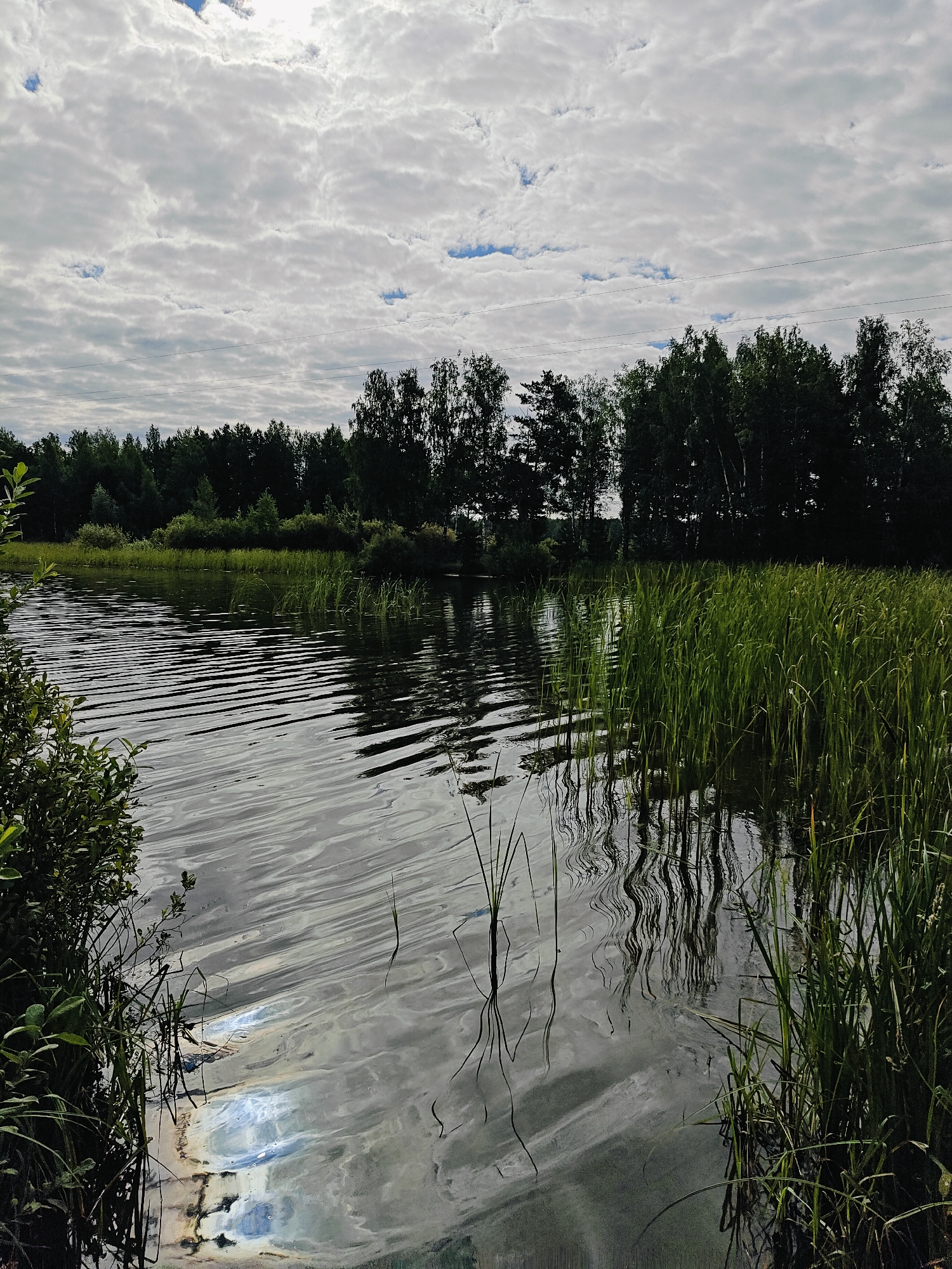 This is a scenic view of a body of water, likely a lake or slow-moving river, with a dense line of trees in the background. The water's surface is disturbed by ripples, reflecting the cloudy sky and the surrounding vegetation. Tall grasses and reeds grow along the edge of the water, particularly on the right side of the image. On the left side, there is a cluster of green bushes. The sky is filled with a heavy layer of clouds, with patches of blue sky visible between them. The overall impression is one of a natural, tranquil environment. This scene is consistent with the natural landscapes found in and around the city of Chaikovsky, Russia, which is known for its proximity to water bodies and forested areas.
