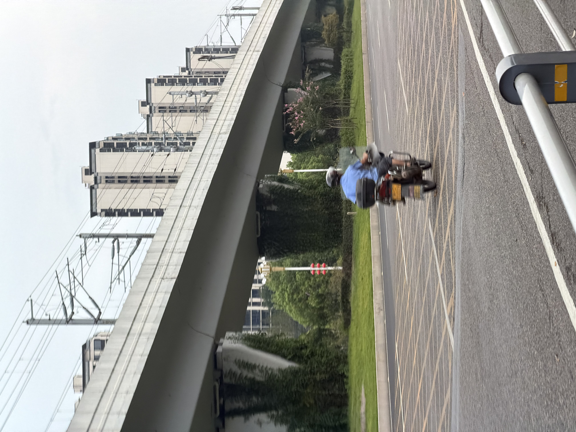 The image captures a street scene in Jiangjin, China, beneath an elevated overpass, likely for a train or highway. A lone motorcyclist, wearing a blue shirt and helmet, is in motion on the asphalt road, heading away from the camera. The road has distinct yellow and white crosswalk markings. To the left of the road, a grassy verge is visible, with lush green trees and ivy climbing the concrete pillars supporting the overpass. Beyond the greenery, several modern, multi-story buildings with dark-trimmed windows are arranged in a row, suggesting a residential or commercial area. Overhead, power lines and their supporting structures stretch across the frame, indicating urban infrastructure. The sky is overcast, casting a diffused light on the scene.