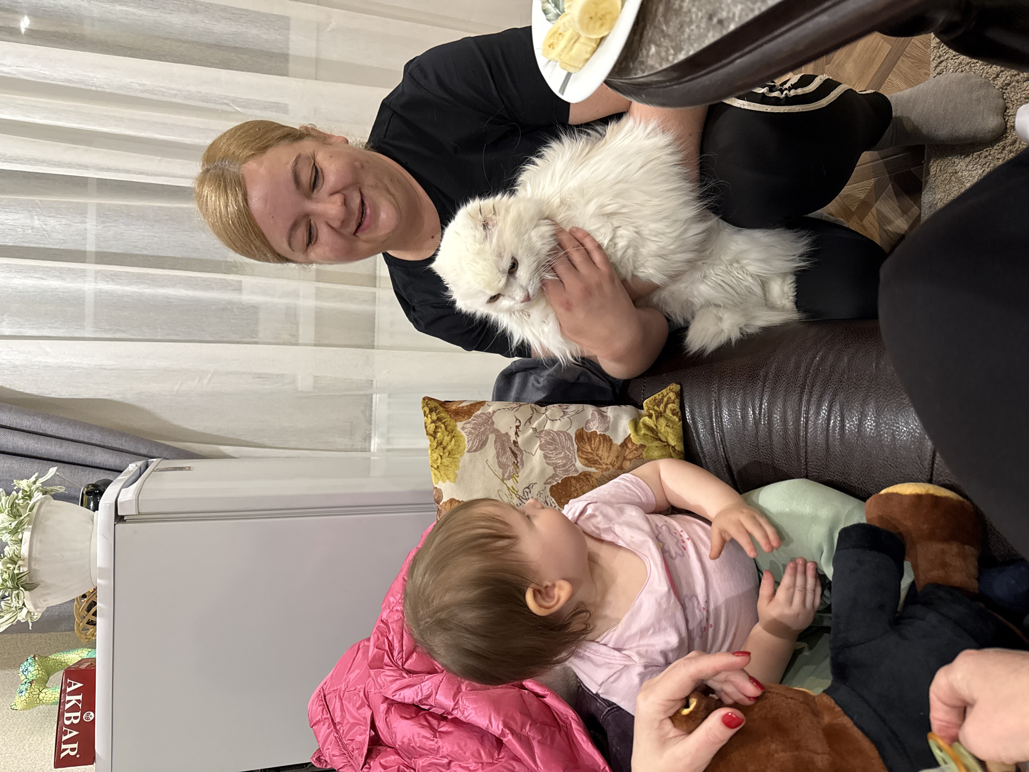 The image captures a heartwarming indoor scene, likely in a home in Krapivka, Russia, featuring a woman, a baby, and a fluffy white cat.
In the upper left, a blonde woman in a black t-shirt smiles warmly as she cradles a large, white long-haired cat in her arms. The cat has slightly matted fur around its face and is looking downwards. A plate with sliced bananas and what appears to be pancakes or fritters is visible on a table next to the woman.
Below and to the right of the woman and cat, a baby or toddler with light brown hair and a pink t-shirt is resting on a dark brown leather couch, covered by a bright pink puffy blanket or jacket. The baby is looking upwards, possibly at the cat or the woman. Another person's hands and legs, wearing black pants and grey socks, are partially visible near the baby and on the floor. A patterned cushion rests behind the baby.
The background shows white sheer curtains with horizontal blinds behind them, suggesting a window. To the left, a white appliance, possibly a refrigerator or cabinet, stands next to the couch. On top of this appliance is a white potted plant with variegated leaves, and a red box with the text "AKBAR" is visible beneath it. The floor features a mix of wood-patterned flooring and a light-colored carpet. The overall atmosphere appears relaxed and affectionate, capturing a moment of family interaction with pets.