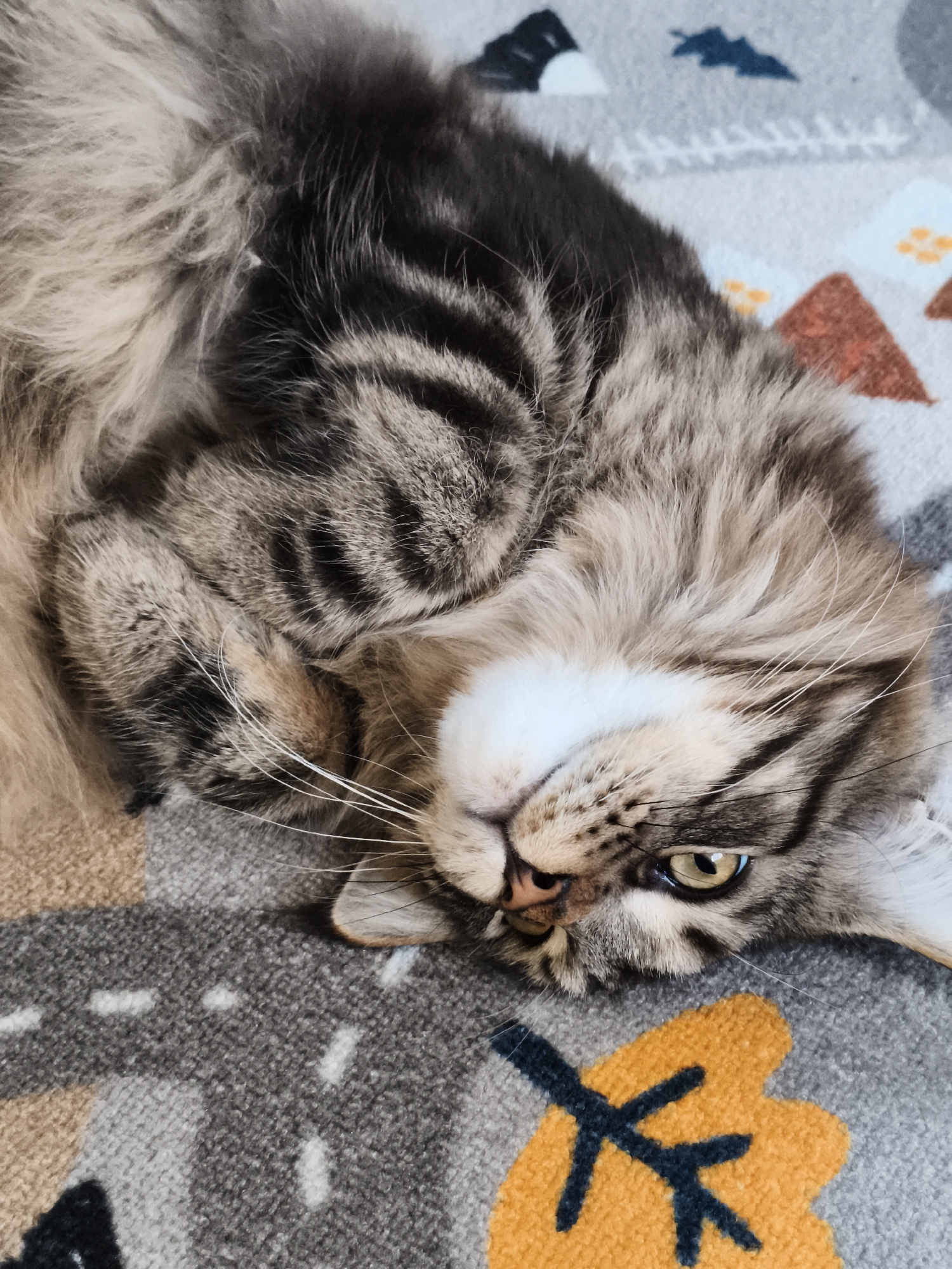 A tabby cat lies on its back on a gray blanket with stylized landscape designs. The blanket features depictions of mountains, trees, and paths in colors such as orange, blue, and white. The cat has a white patch on its chest and face, and its fur is a mix of brown, gray, and black stripes. One of its eyes is visible and yellowish. The cat's head is positioned near the bottom of the frame, resting on the blanket.
The location is not provided by the image.