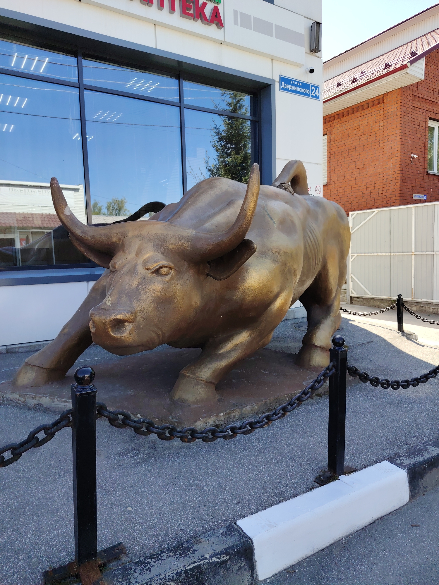 A bronze statue of a bull is in front of a building with large windows. A sign for "Apteka" is visible at the top of the building. A street sign reads "улица Дзержинского 24" (Dzerzhinsky Street 24). The bull is surrounded by a chain-link fence. A brick building is in the background. The location is in the city of Unknown, Unknown.