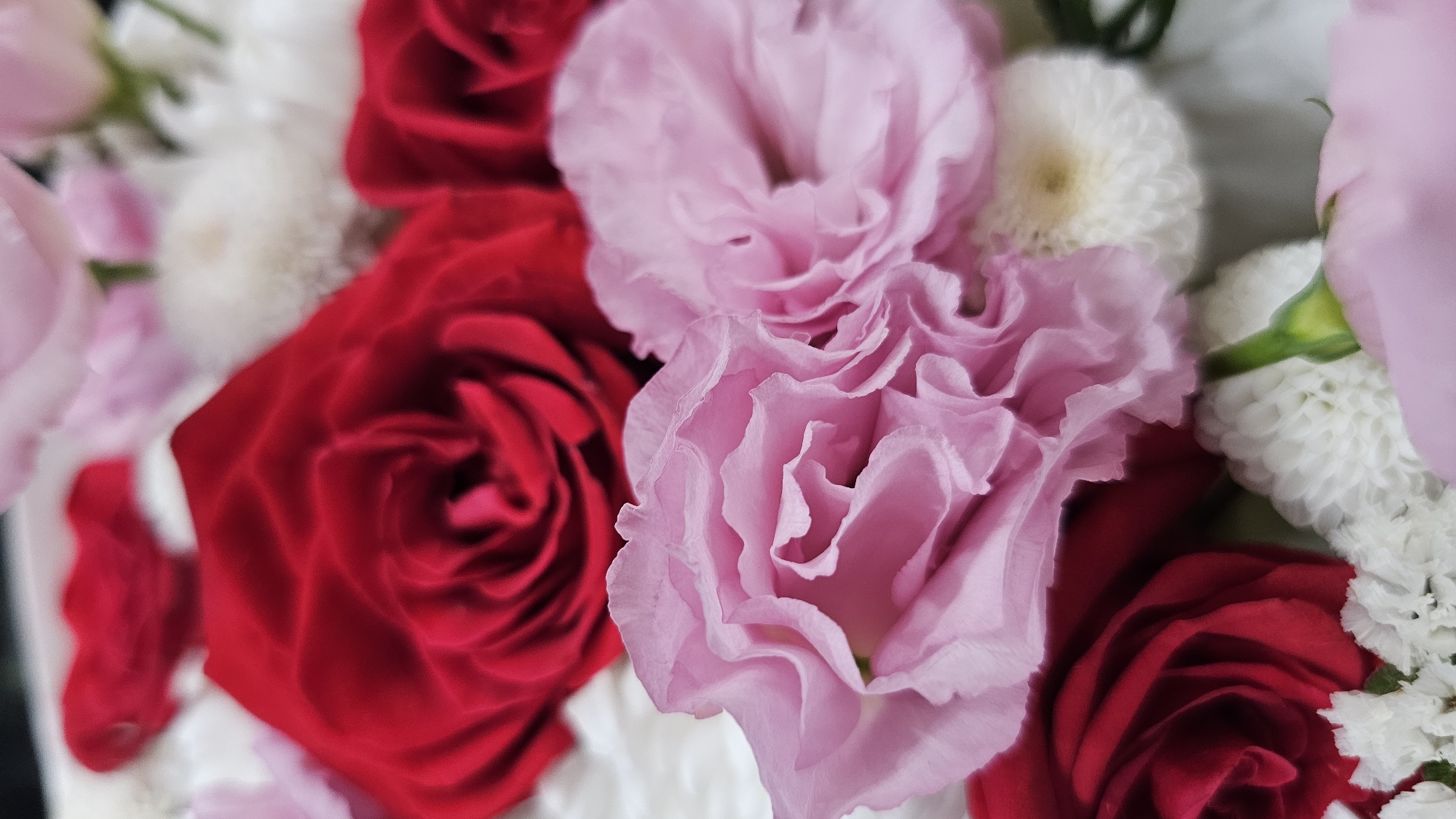 The image is a close-up, eye-level, full-frame shot of a floral arrangement featuring red roses and pink lisianthus flowers. The flowers are in full bloom, with soft, ruffled petals. Some white filler flowers, possibly chrysanthemums, are also visible, providing a textured contrast to the larger blossoms. The lighting is soft and diffused, highlighting the delicate textures and colors of the flowers. The background is blurred, suggesting a shallow depth of field that keeps the focus entirely on the flowers. The scene is likely indoors or in a controlled environment, given the pristine condition of the blooms and the absence of any environmental elements like wind or debris. The context of Asan-si, South Korea, is not visually represented in the image itself; the photograph is a neutral depiction of the floral arrangement.