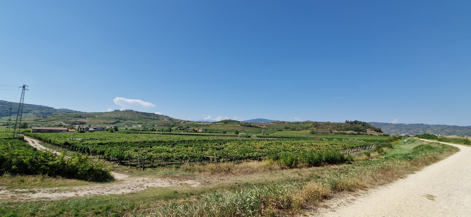 The image depicts a rural landscape in the vicinity of Monteforte d'Alpone, Italy, characterized by rolling hills covered in vineyards. A dirt path winds through the scene, curving to the right in the foreground. On the left, a vineyard stretches across the frame, with rows of grapevines supported by wooden stakes. A few buildings, possibly farmhouses or small residences, are visible amongst the vines and on the distant hills. A tall, metal electricity pylon stands prominently in the far left of the image. The sky is a clear, vibrant blue with a single, wispy cloud. The overall impression is one of a sunny day in an agricultural region.