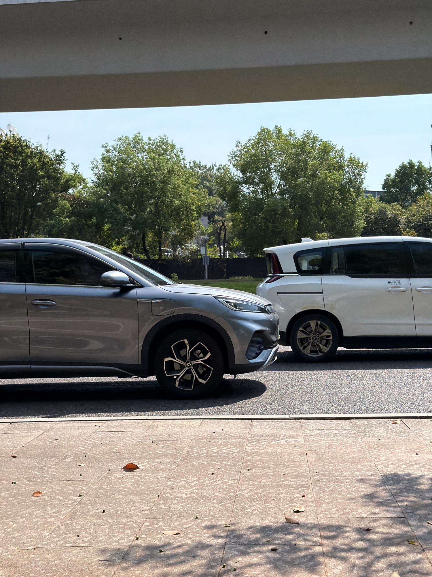 A side view of two parked cars, a silver SUV and a white minivan, is captured under an overhanging structure. The silver SUV is positioned in the foreground, while the white minivan is slightly behind and to its right. Both vehicles are parked on an asphalt road. The ground in front of the cars consists of a concrete sidewalk with scattered fallen leaves and small dark circular objects. In the background, a line of lush green trees with dense foliage forms a backdrop against a clear blue sky. The scene suggests an outdoor urban setting, possibly a street or parking area within the city of Jiangjin, China, given the context.